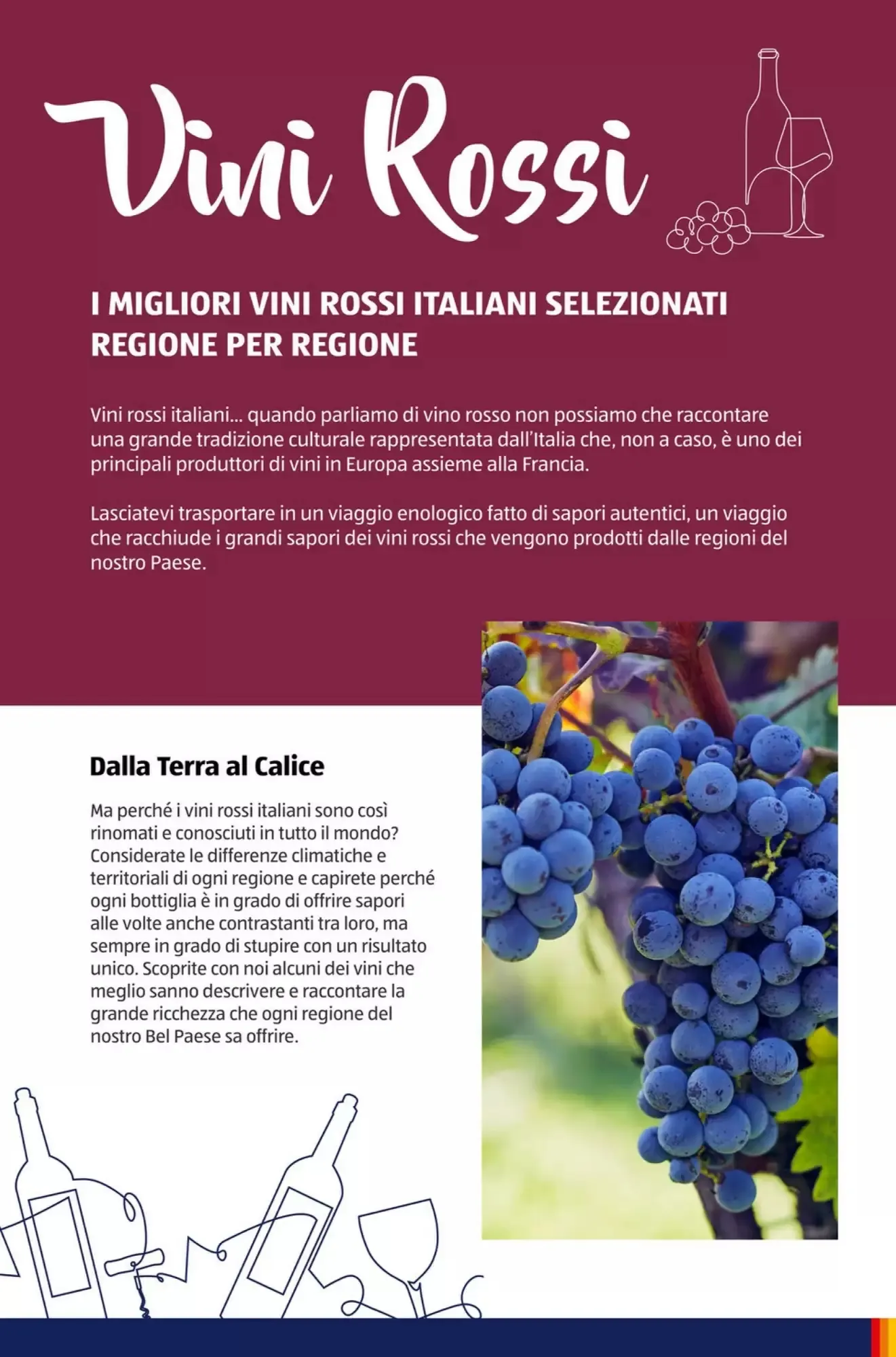 Volantino ALDI Volantino ALDI pagina 8