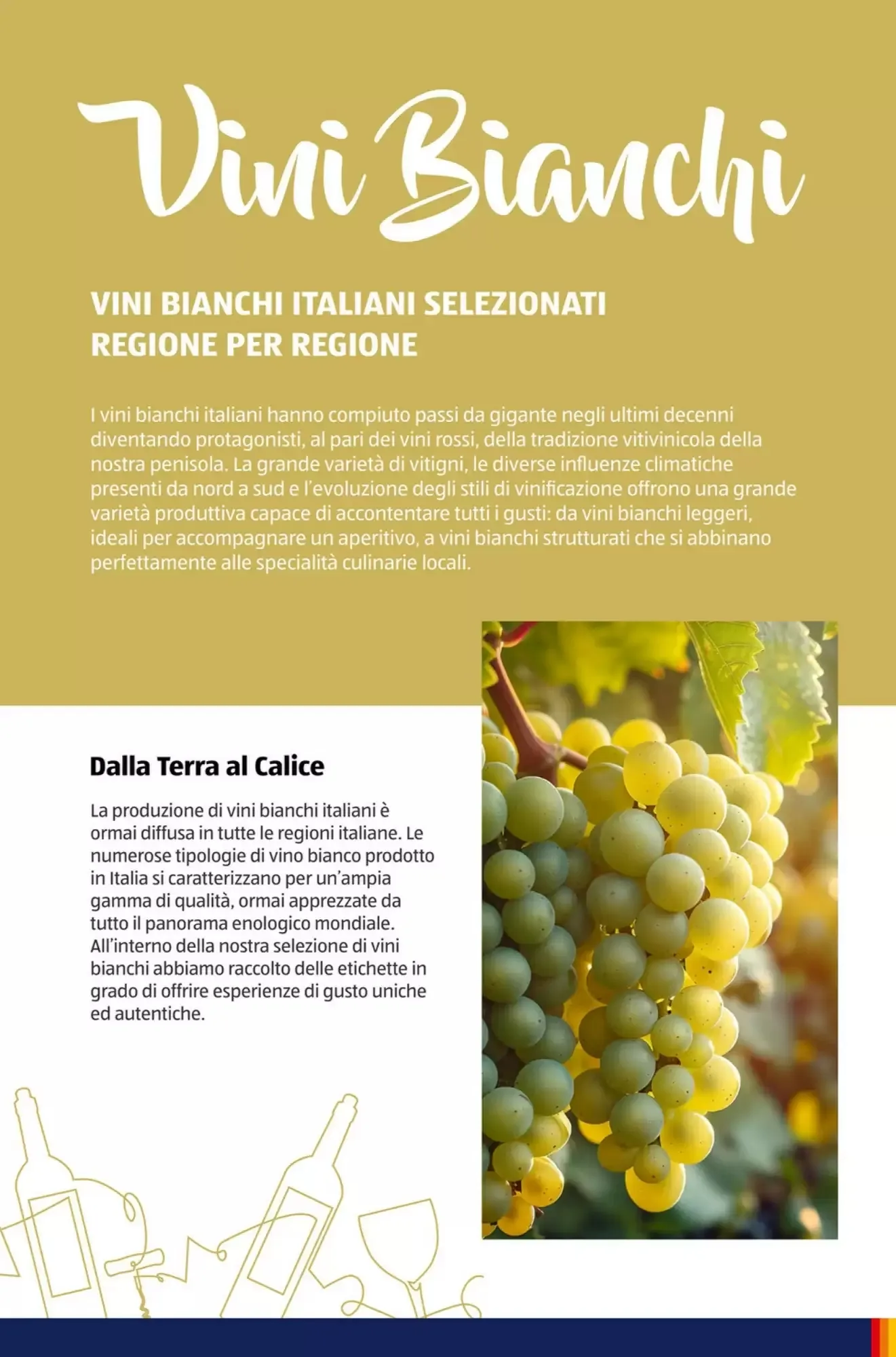 Volantino ALDI Volantino ALDI pagina 30