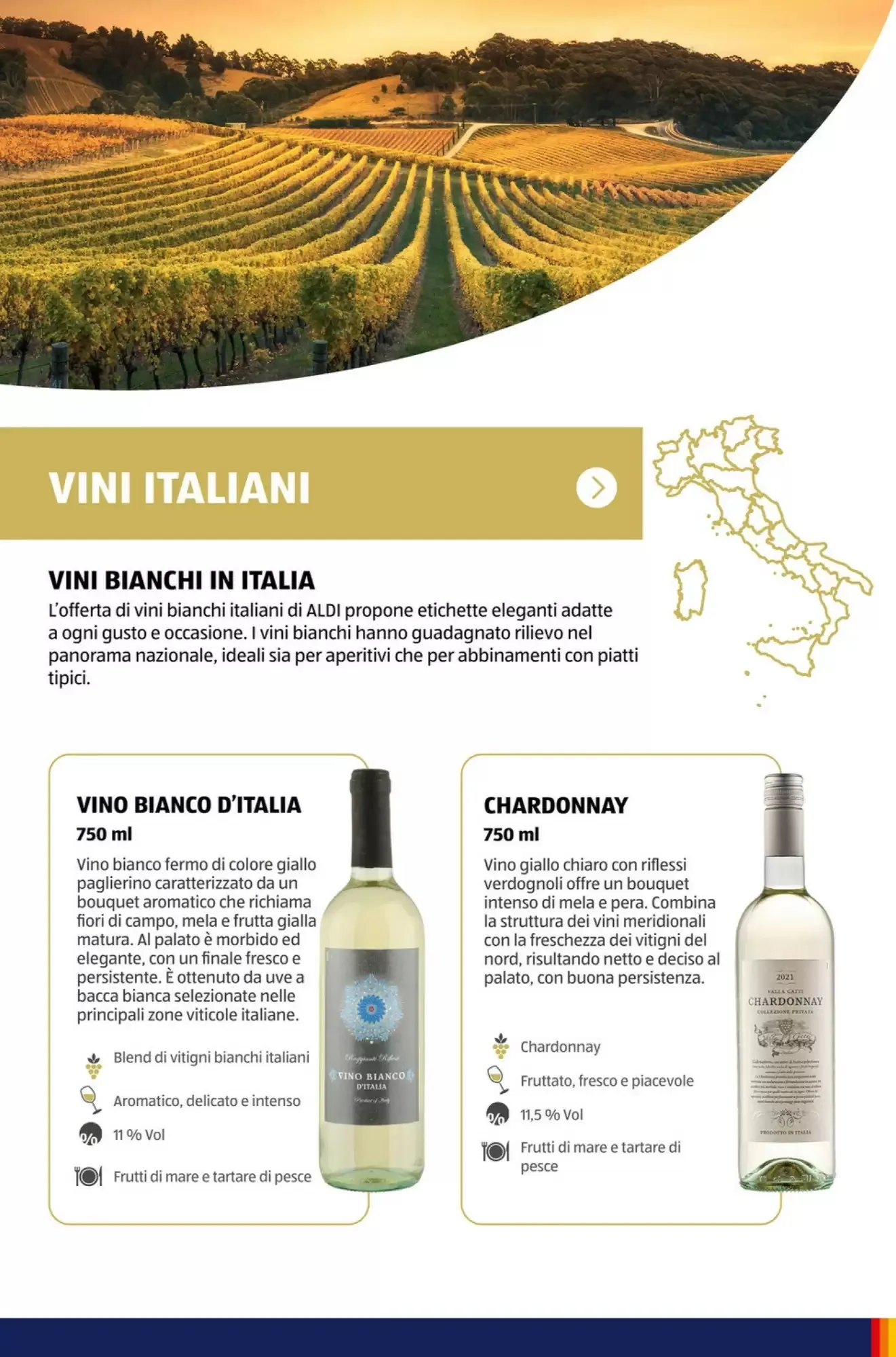 Volantino ALDI Volantino ALDI pagina 41