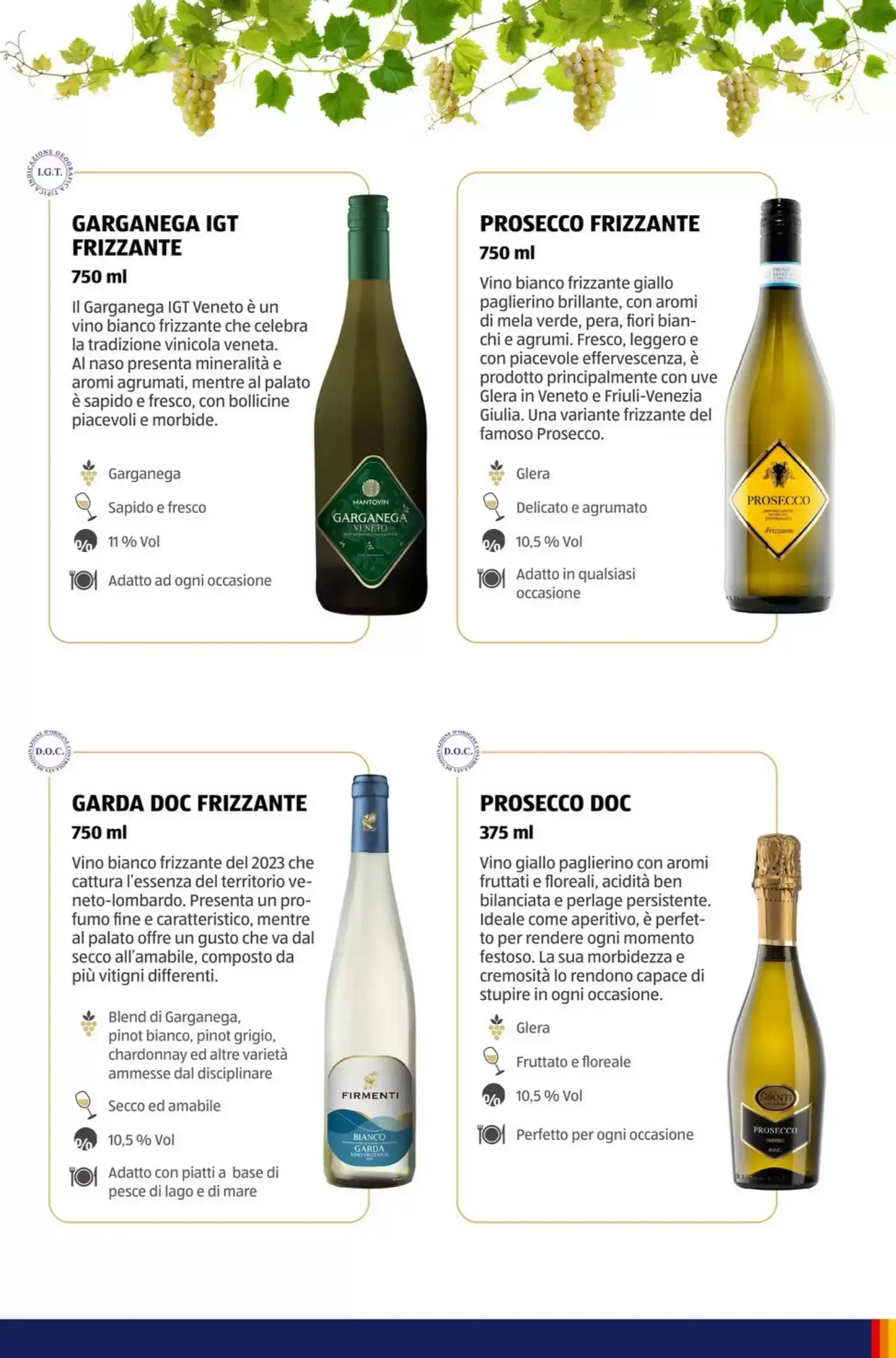 Volantino ALDI Volantino ALDI pagina 51