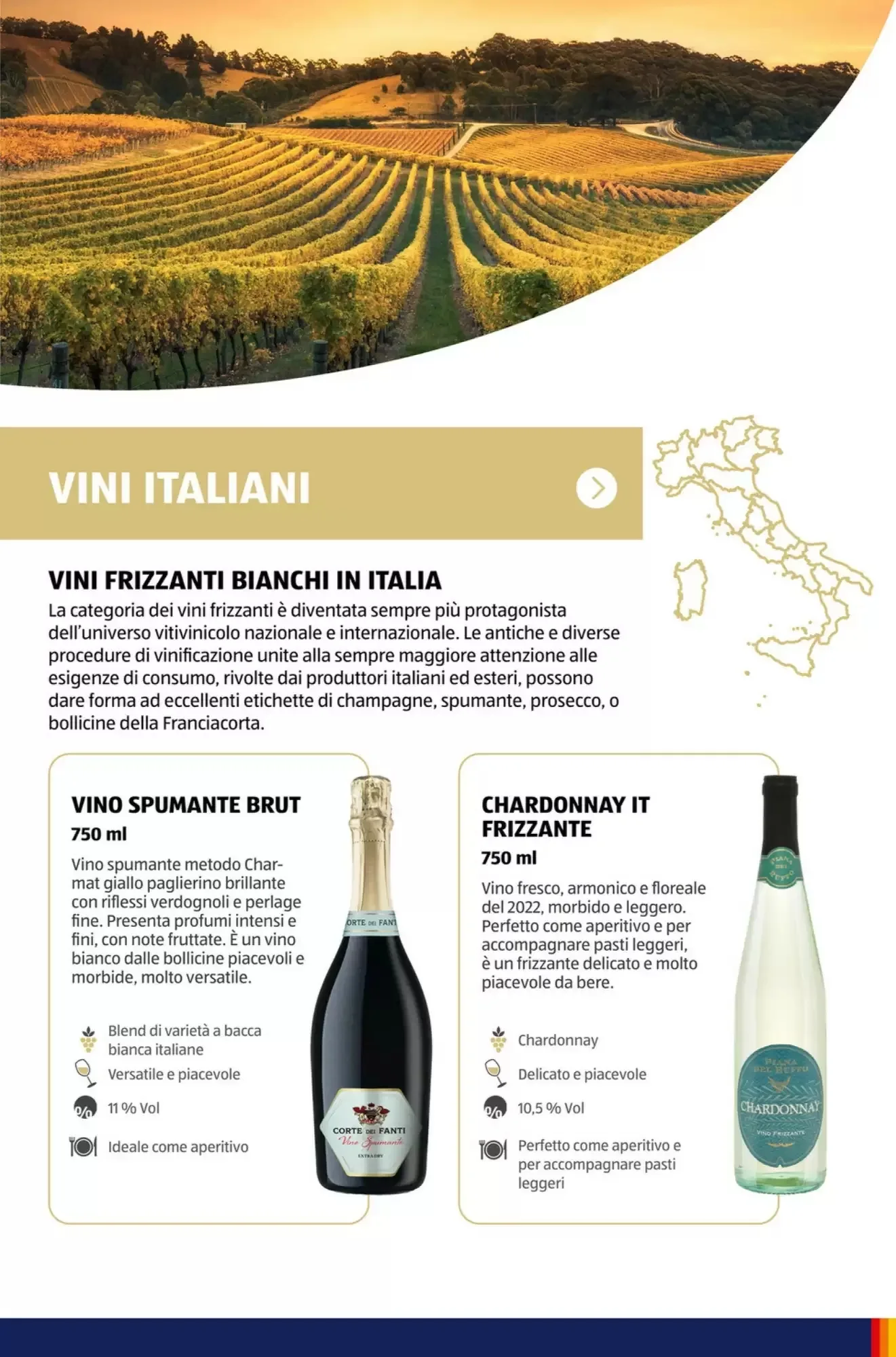Volantino ALDI Volantino ALDI pagina 55