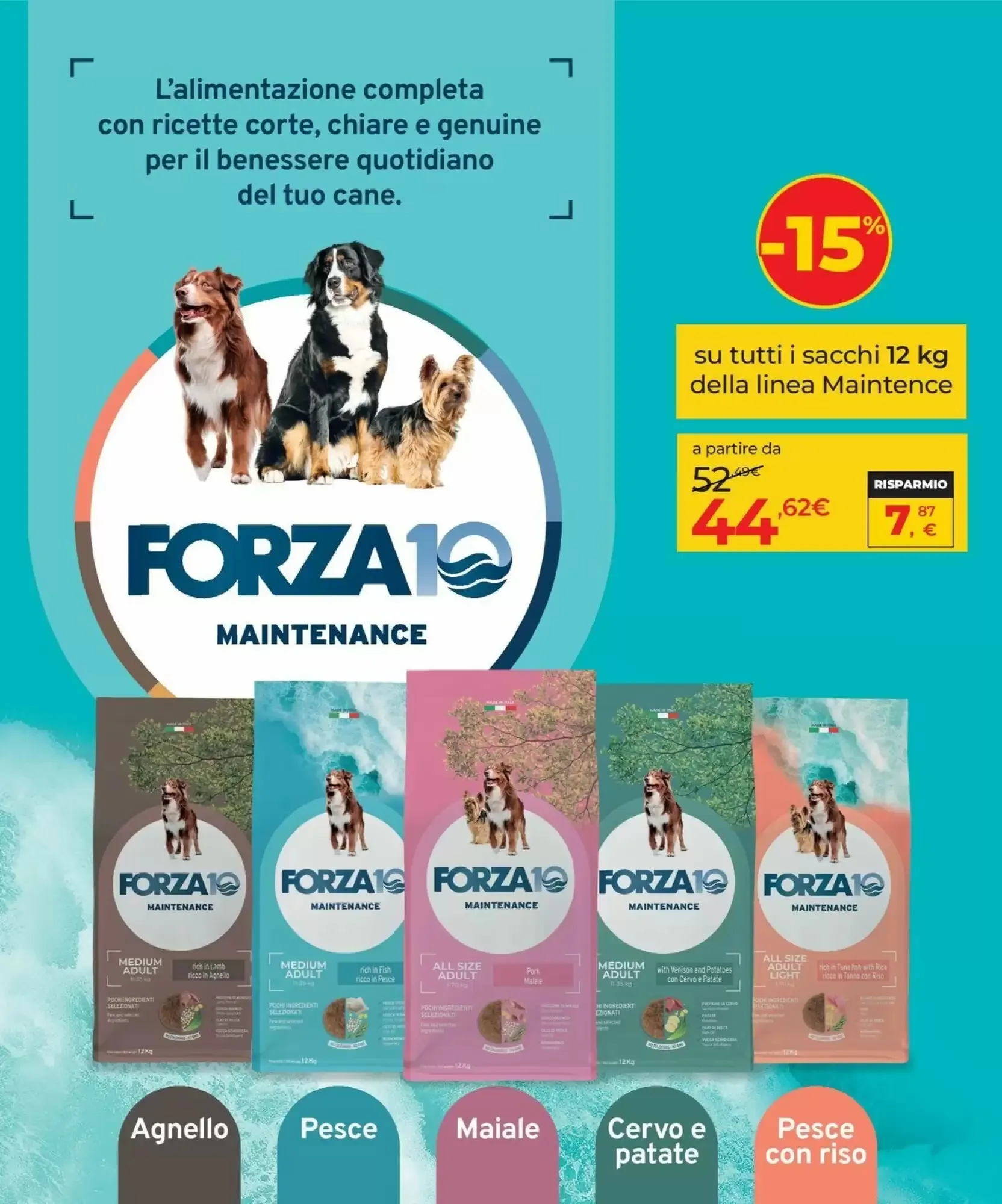 Volantino Arcaplanet Volantino Arcaplanet pagina 13