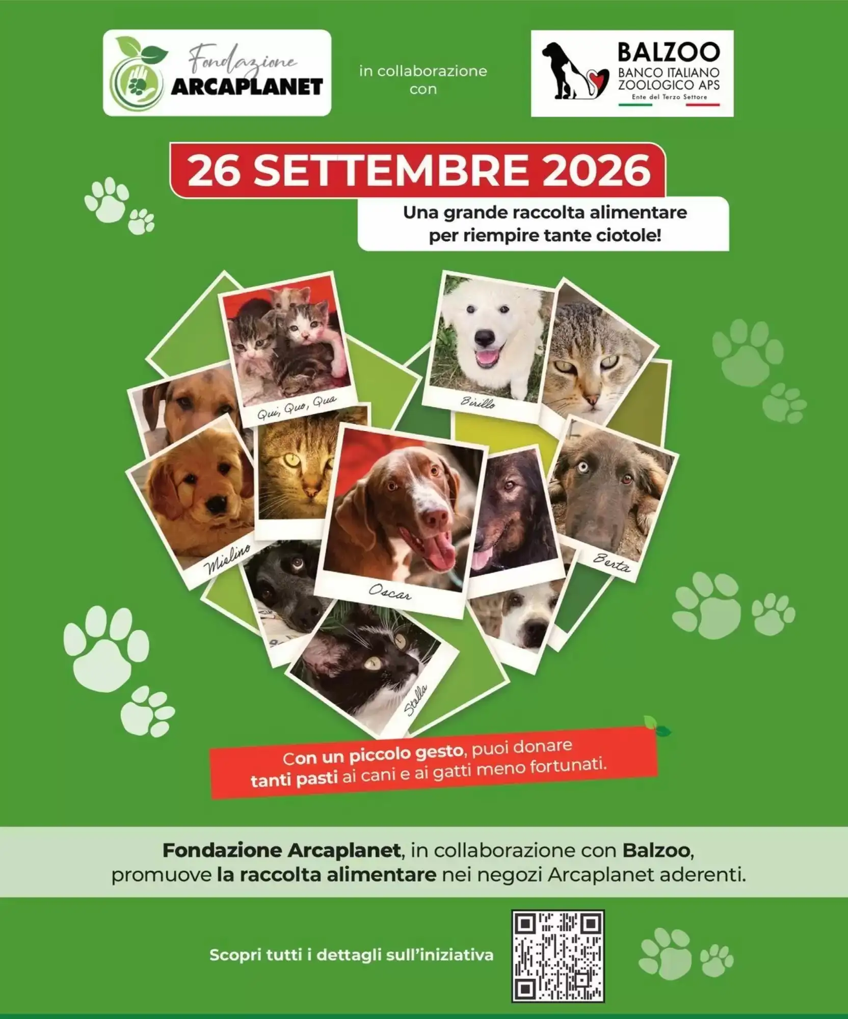 Volantino Arcaplanet Volantino Arcaplanet pagina 31
