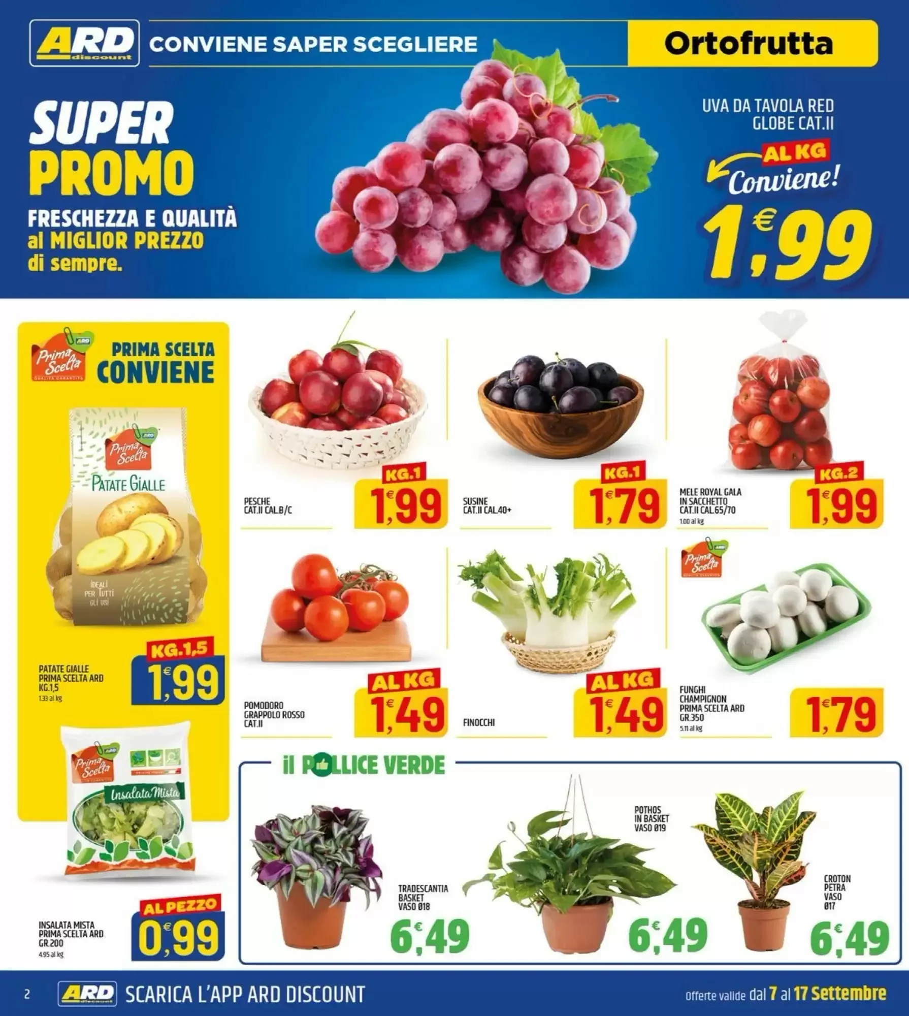 Volantino Ard Discount Volantino Ard Discount pagina 2