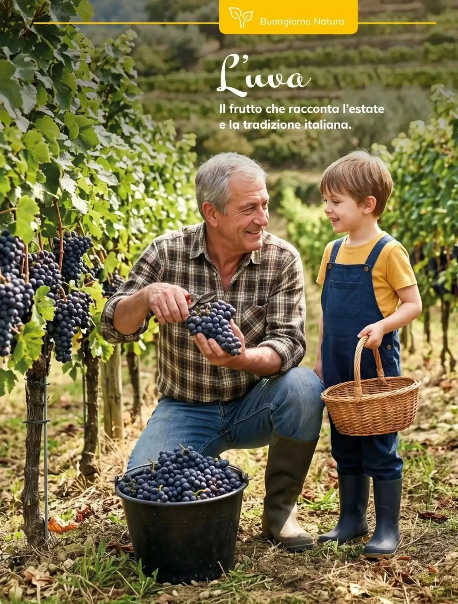 Volantino Basko Volantino Basko pagina 9
