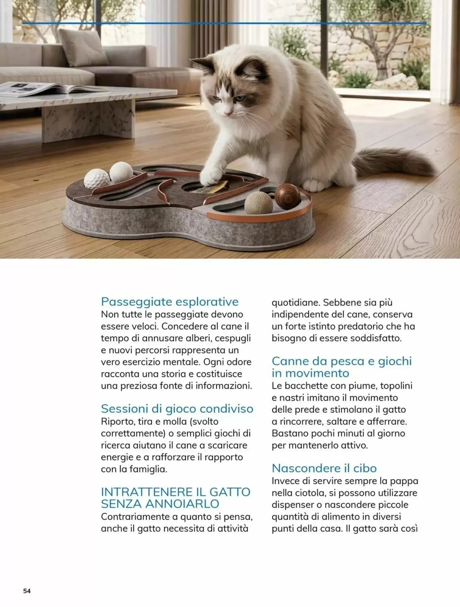 Volantino Basko Volantino Basko pagina 54