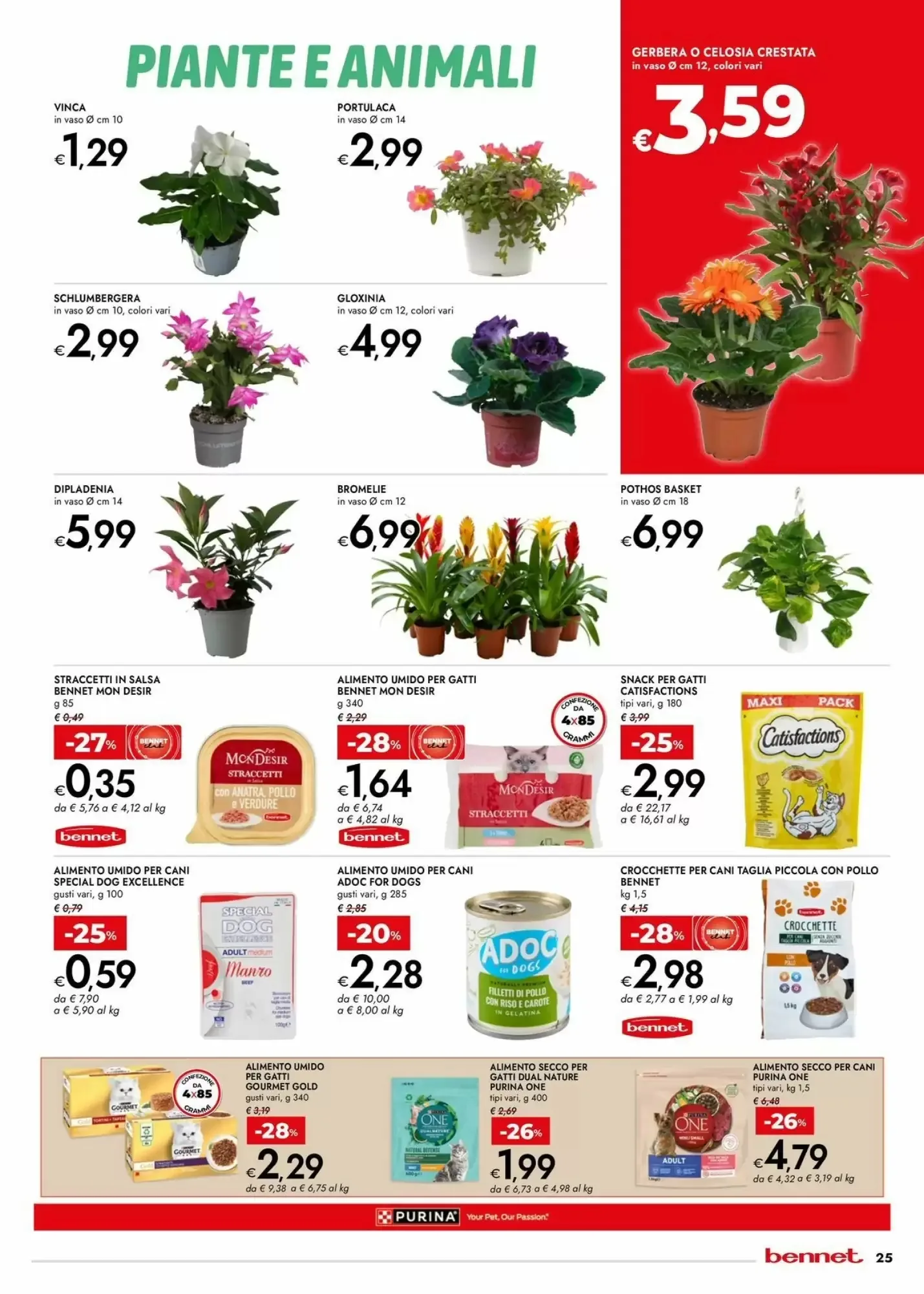 Volantino Bennet Volantino Bennet pagina 25