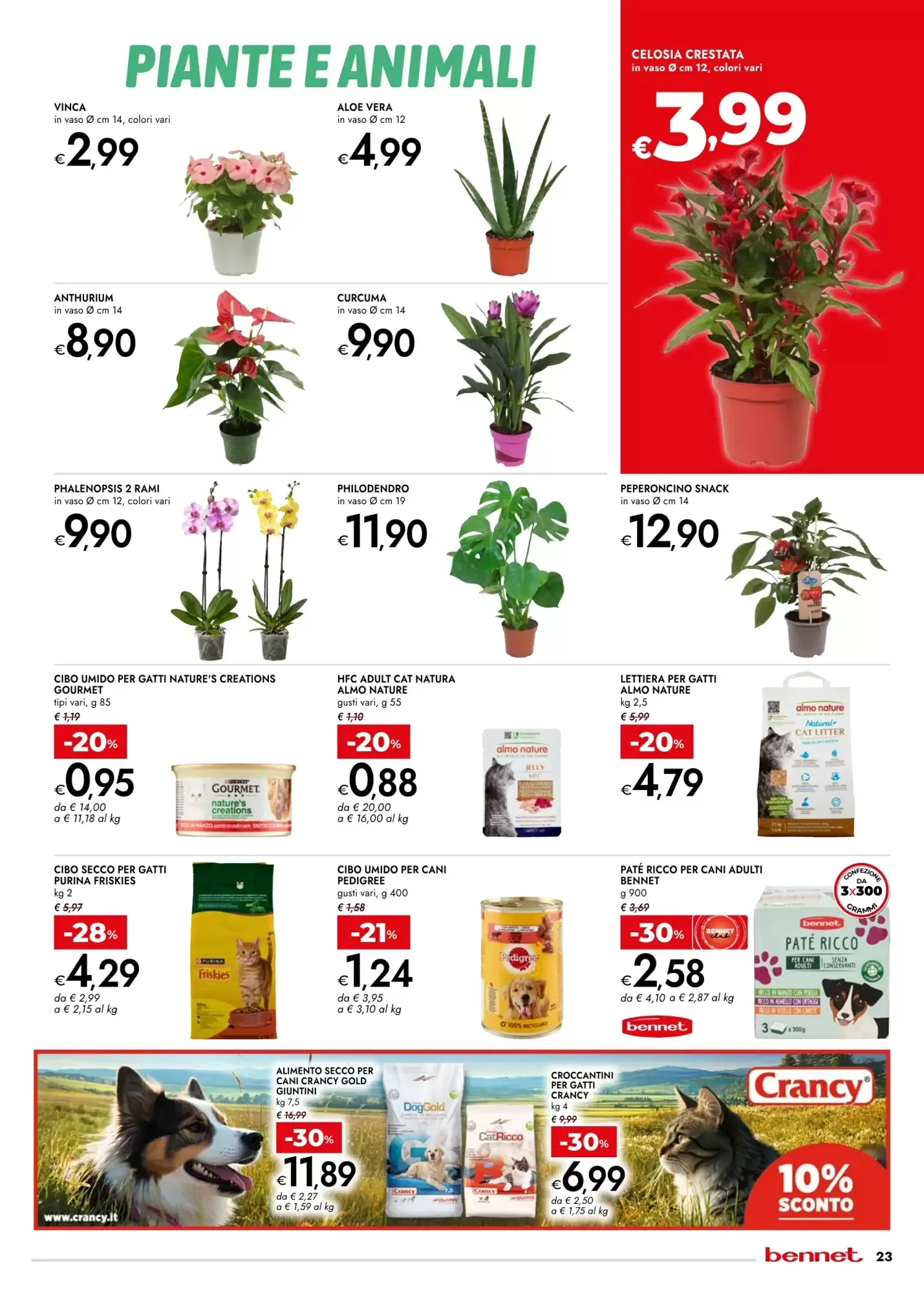 Volantino Bennet Volantino Bennet pagina 23