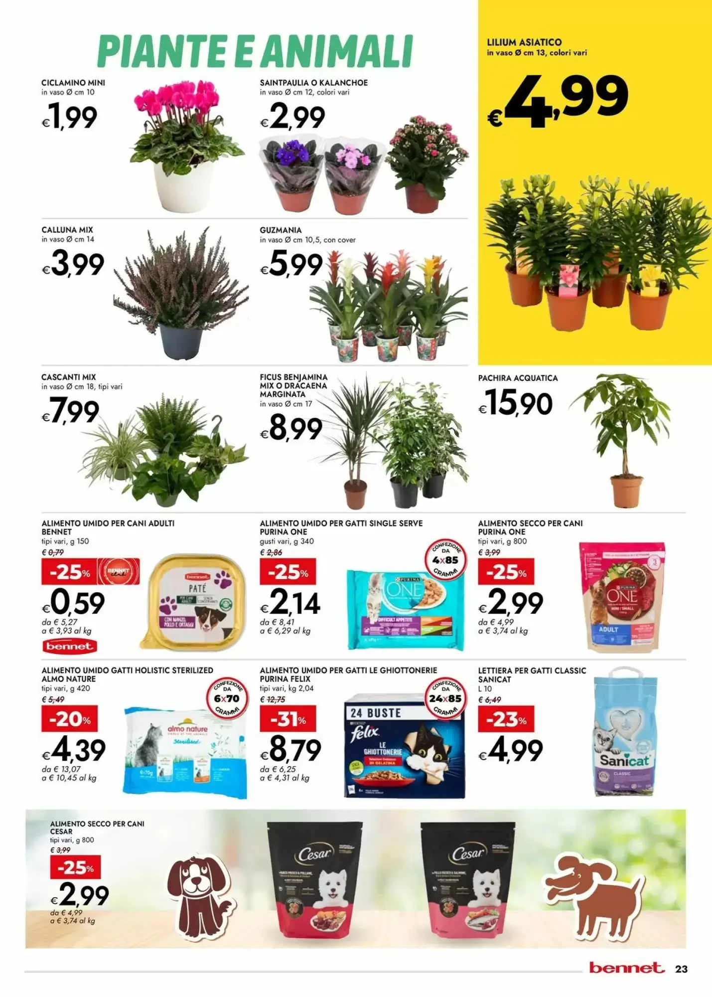 Volantino Bennet Volantino Bennet pagina 23
