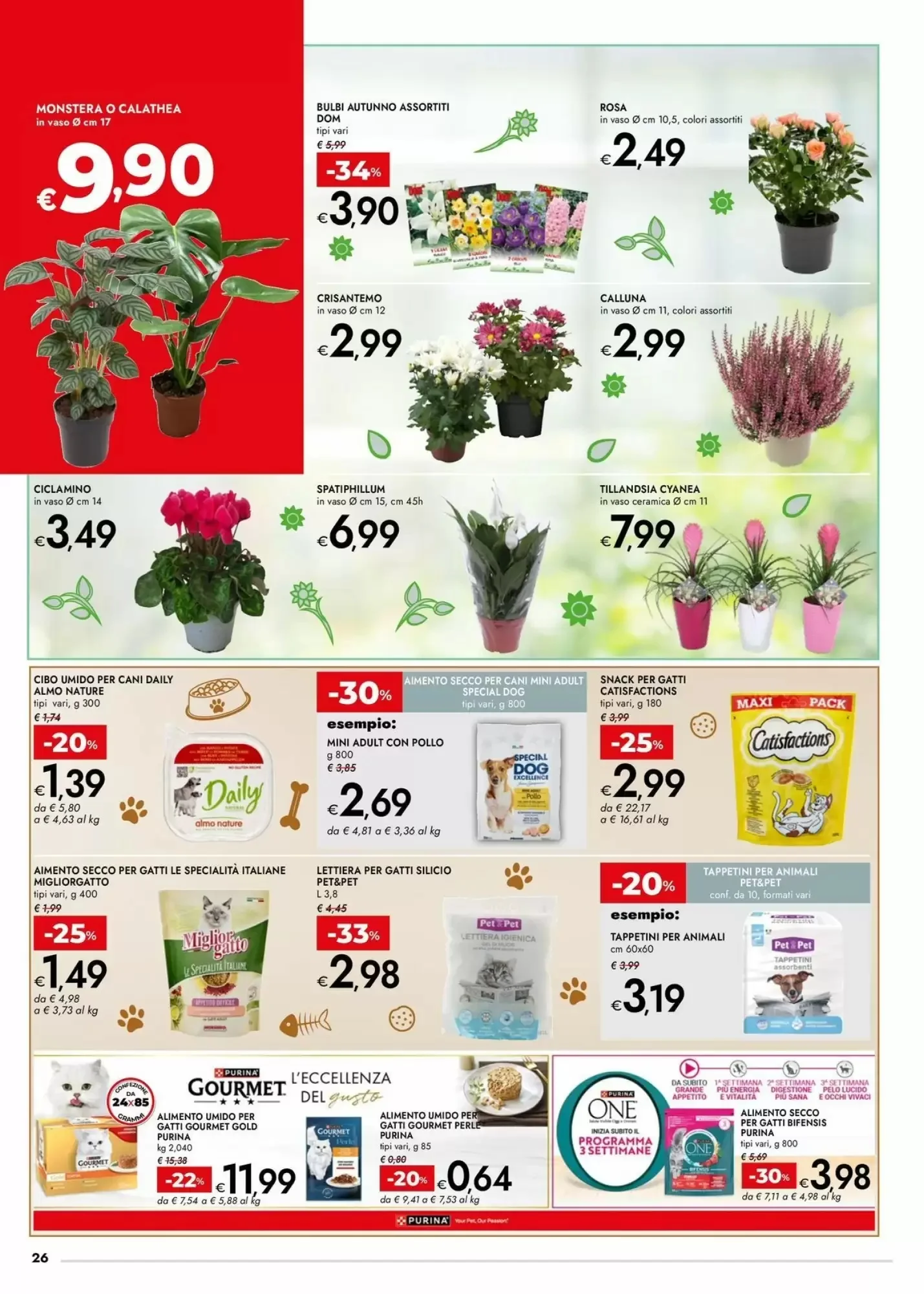 Volantino Bennet Volantino Bennet pagina 26