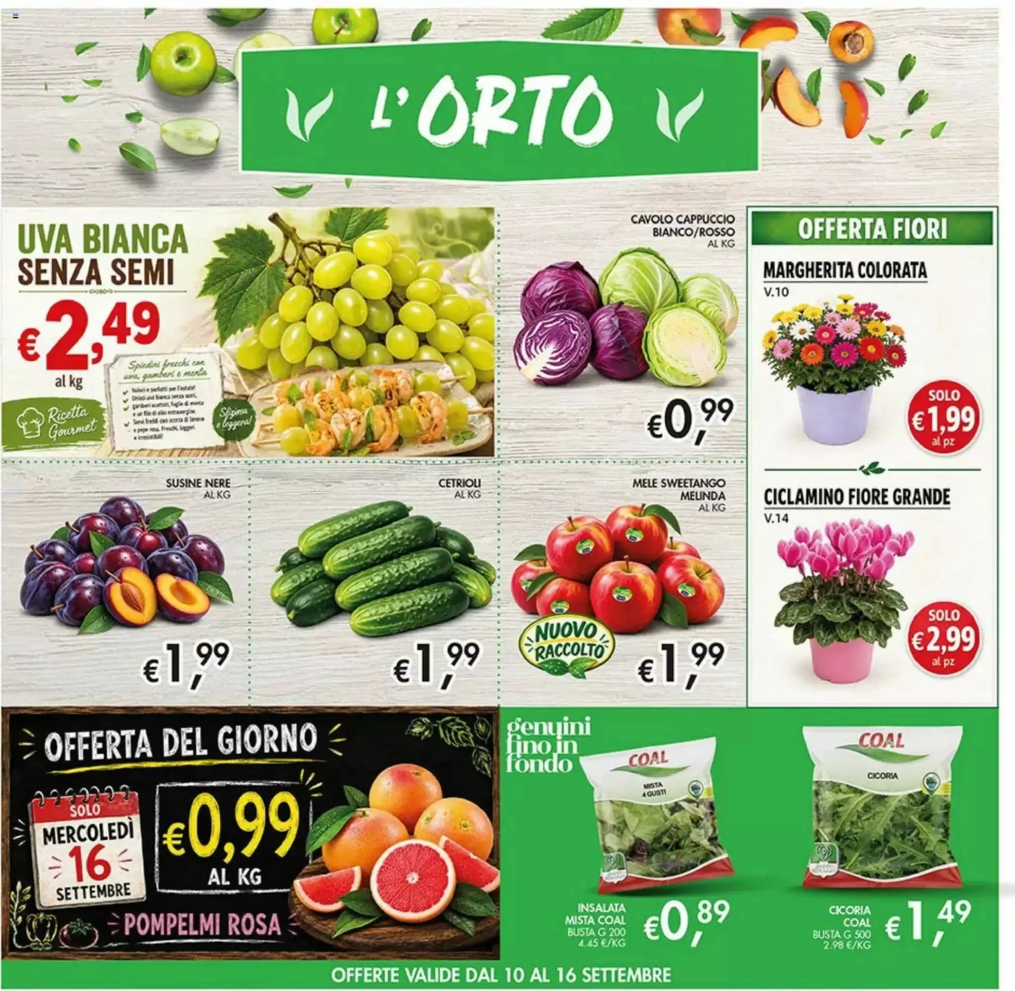Volantino Coal Volantino Coal pagina 6