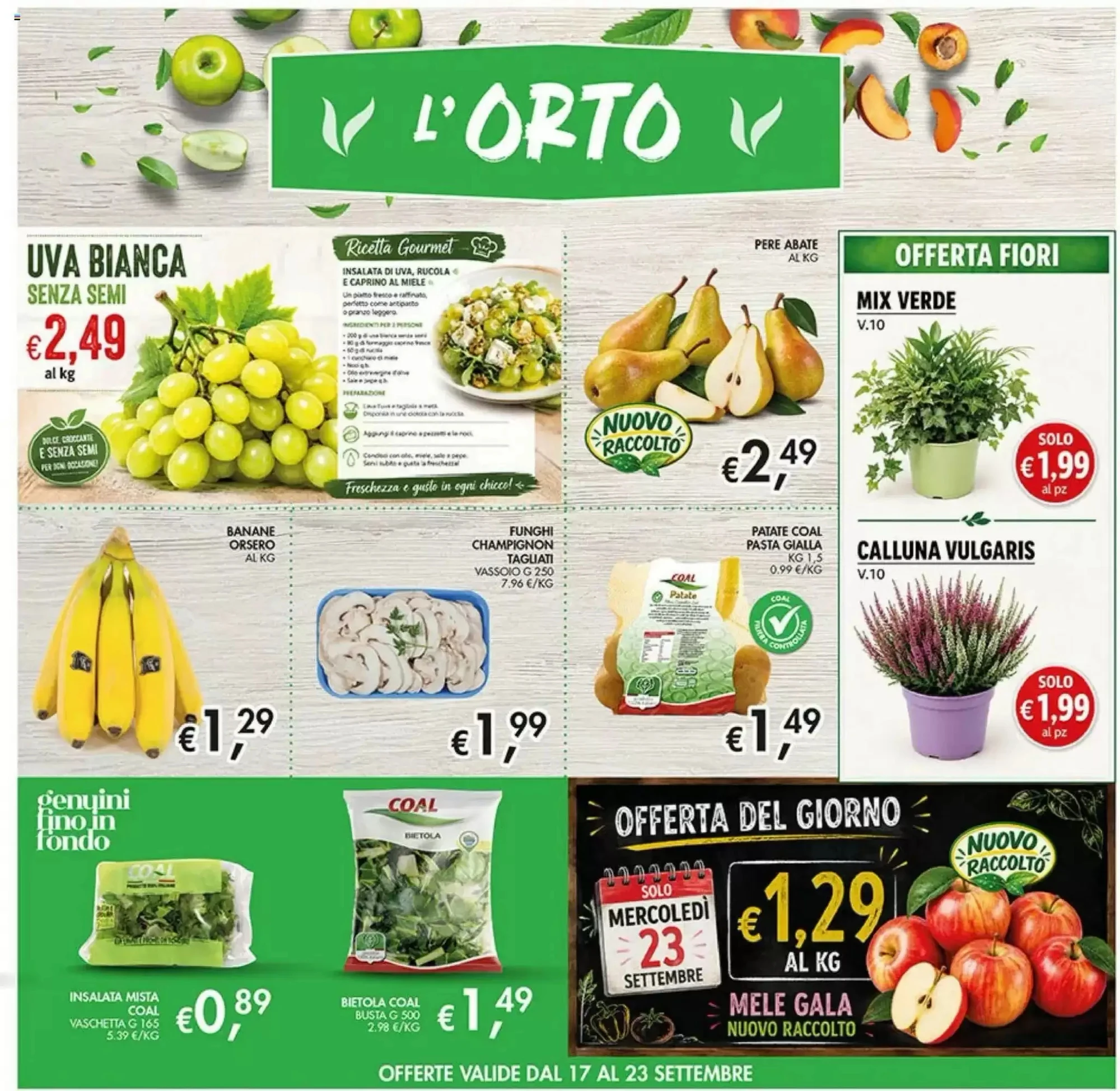 Volantino Coal Volantino Coal pagina 7