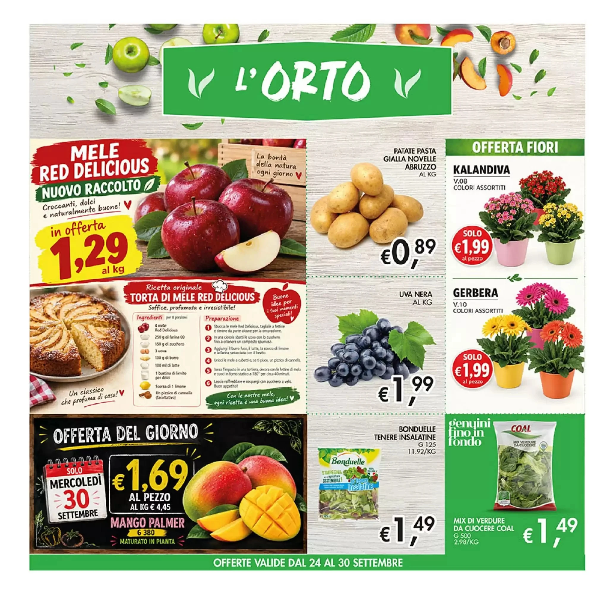 Volantino Coal Volantino Coal pagina 8