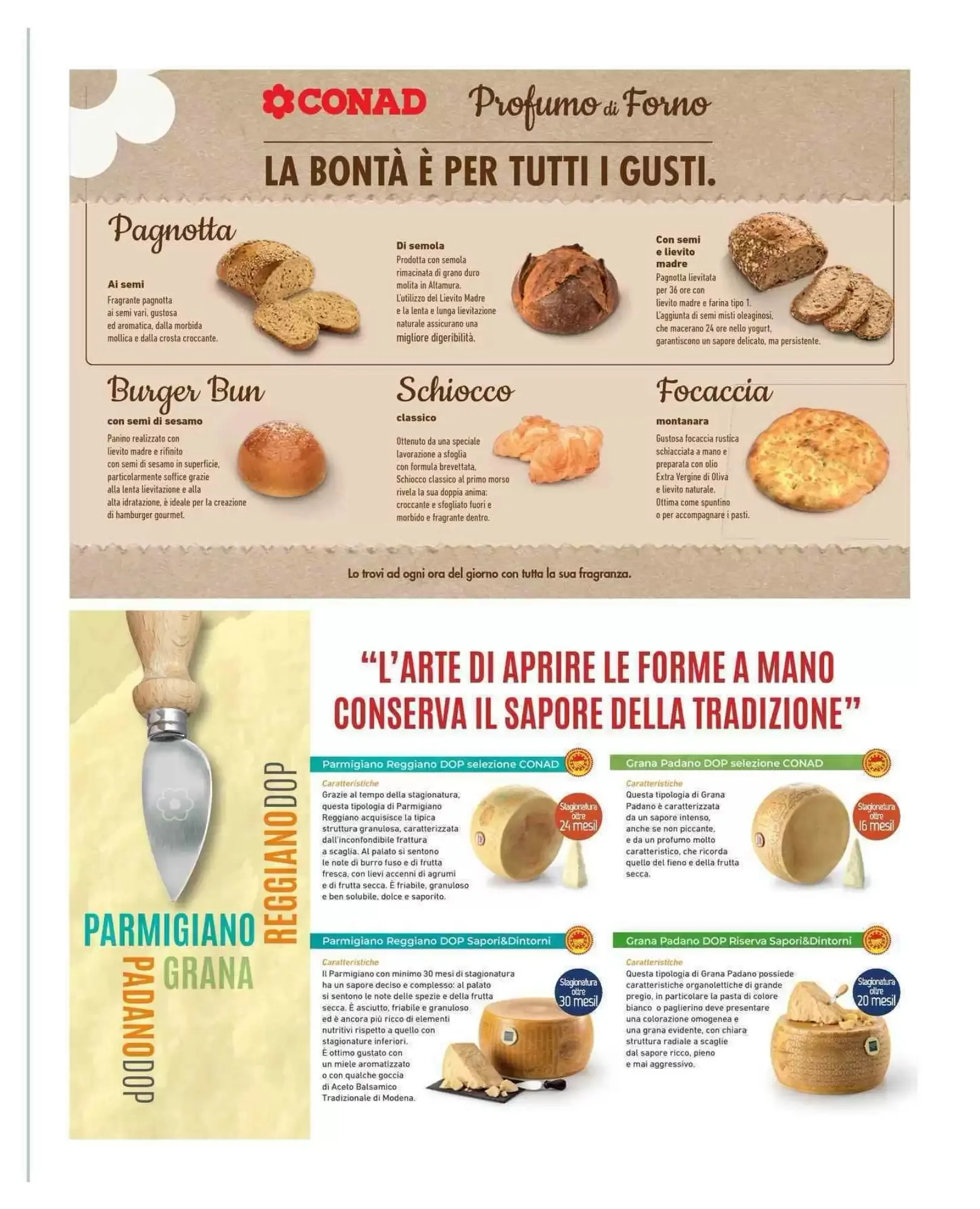 Volantino Conad City Volantino Conad City pagina 13