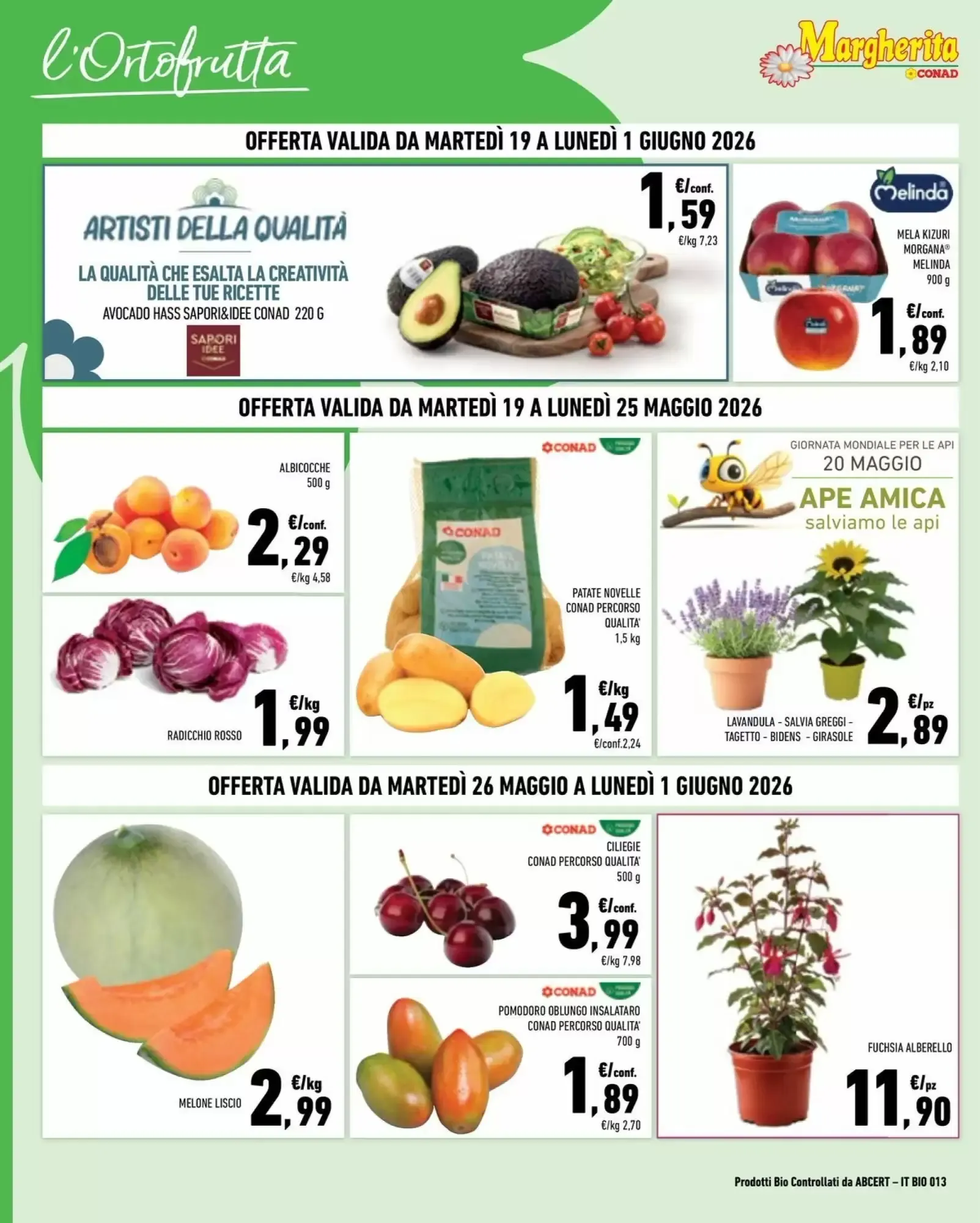 Volantino Conad Margherita Volantino Conad Margherita pagina 2