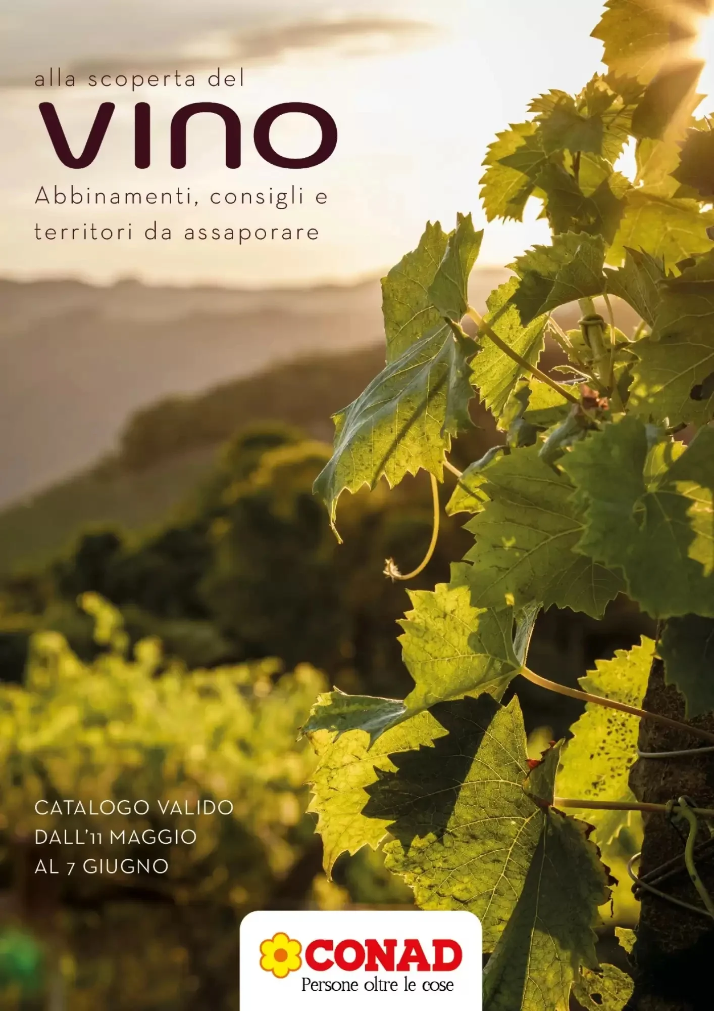Copertina Conad - Volantino Conad