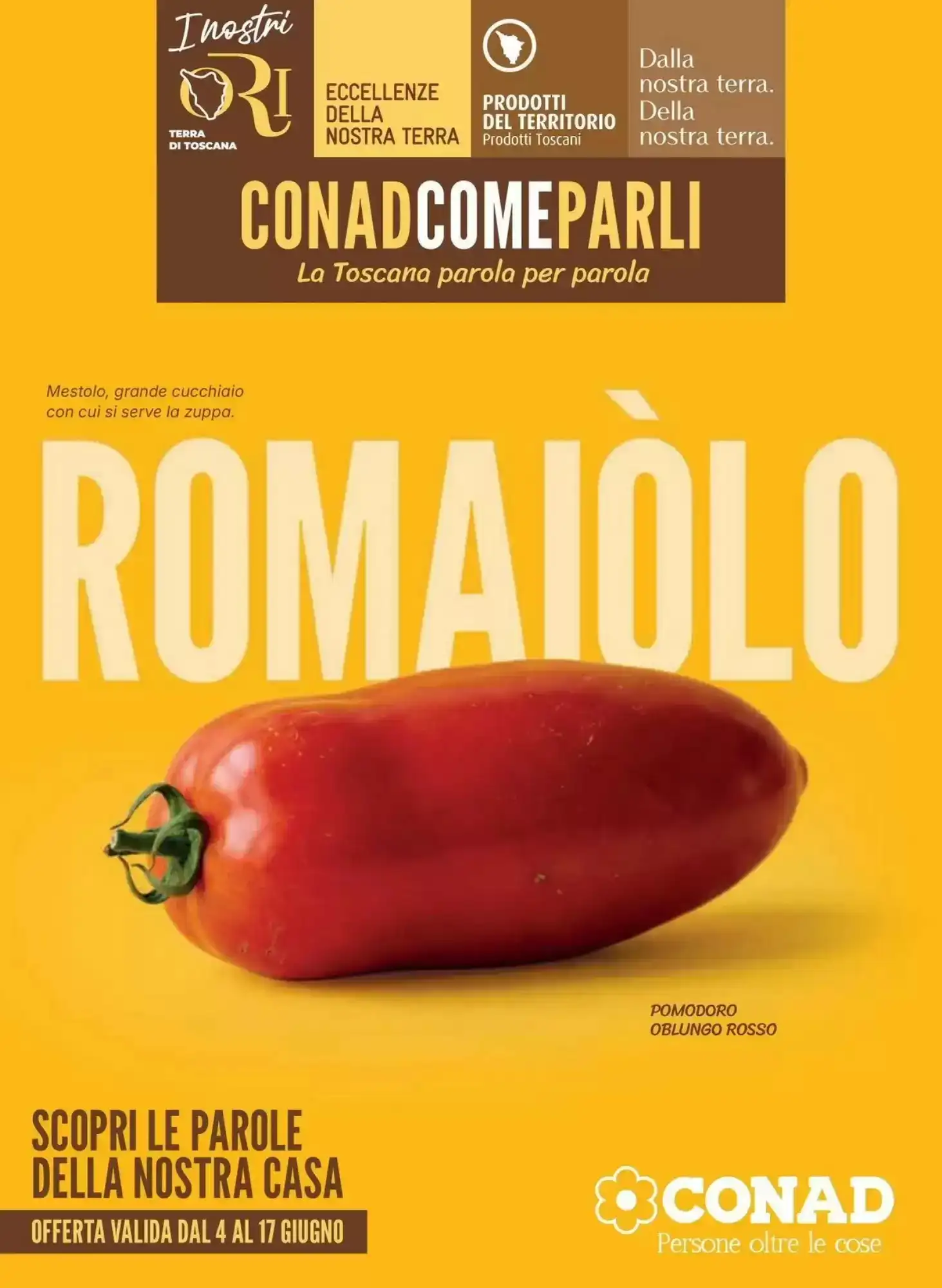 Copertina Conad - Volantino Conad