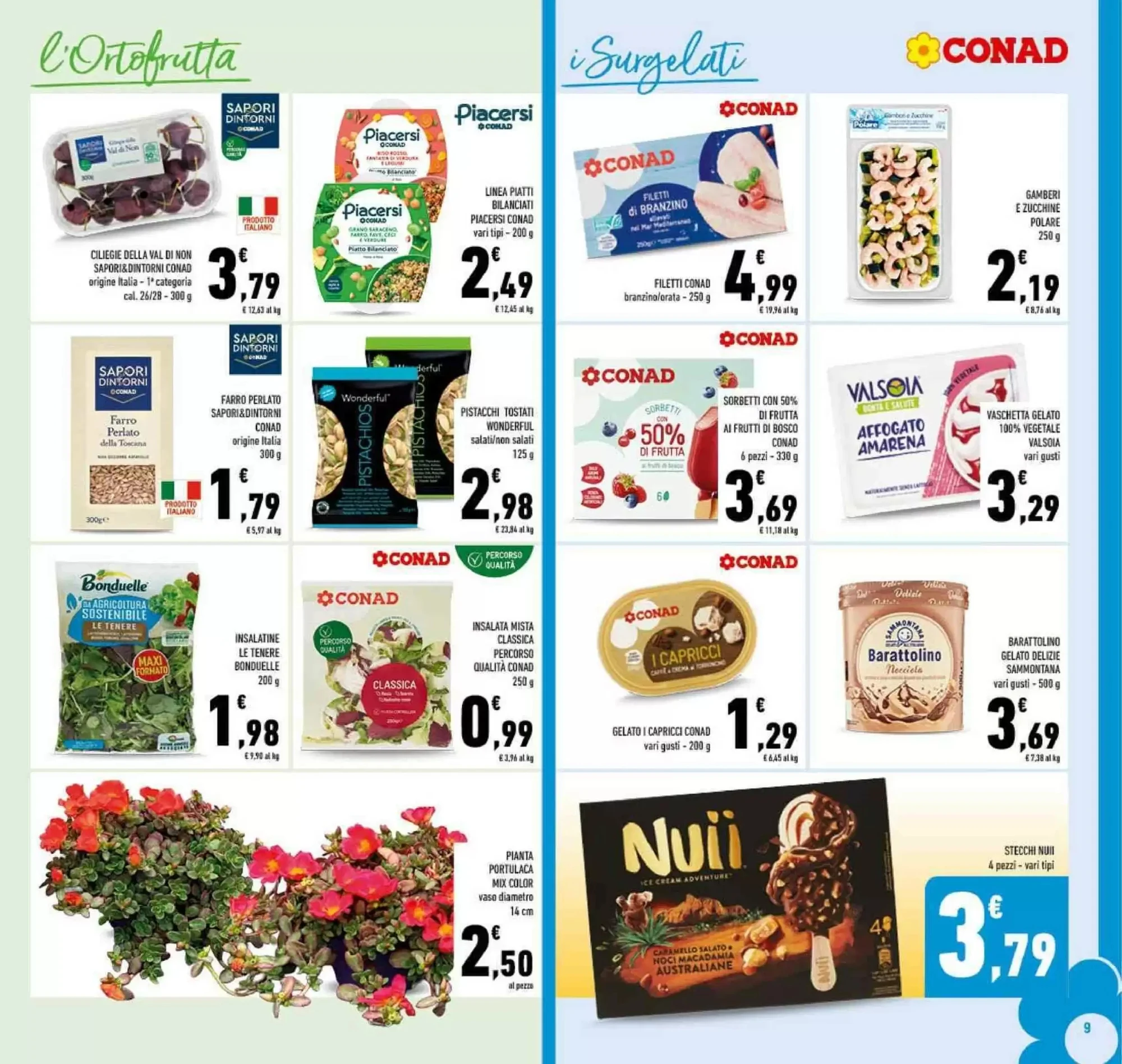 Volantino Conad Volantino Conad pagina 9