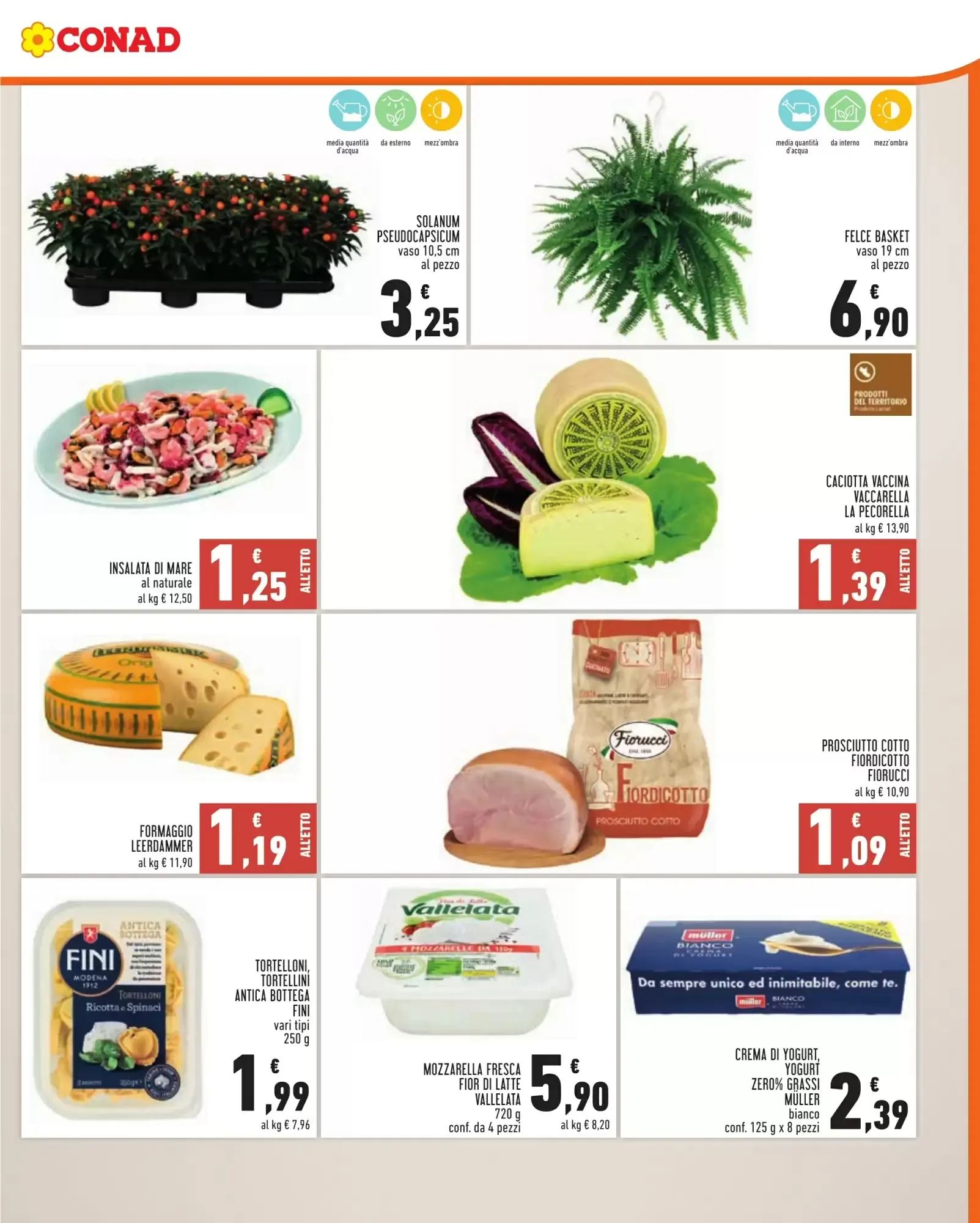Volantino Conad Volantino Conad pagina 3