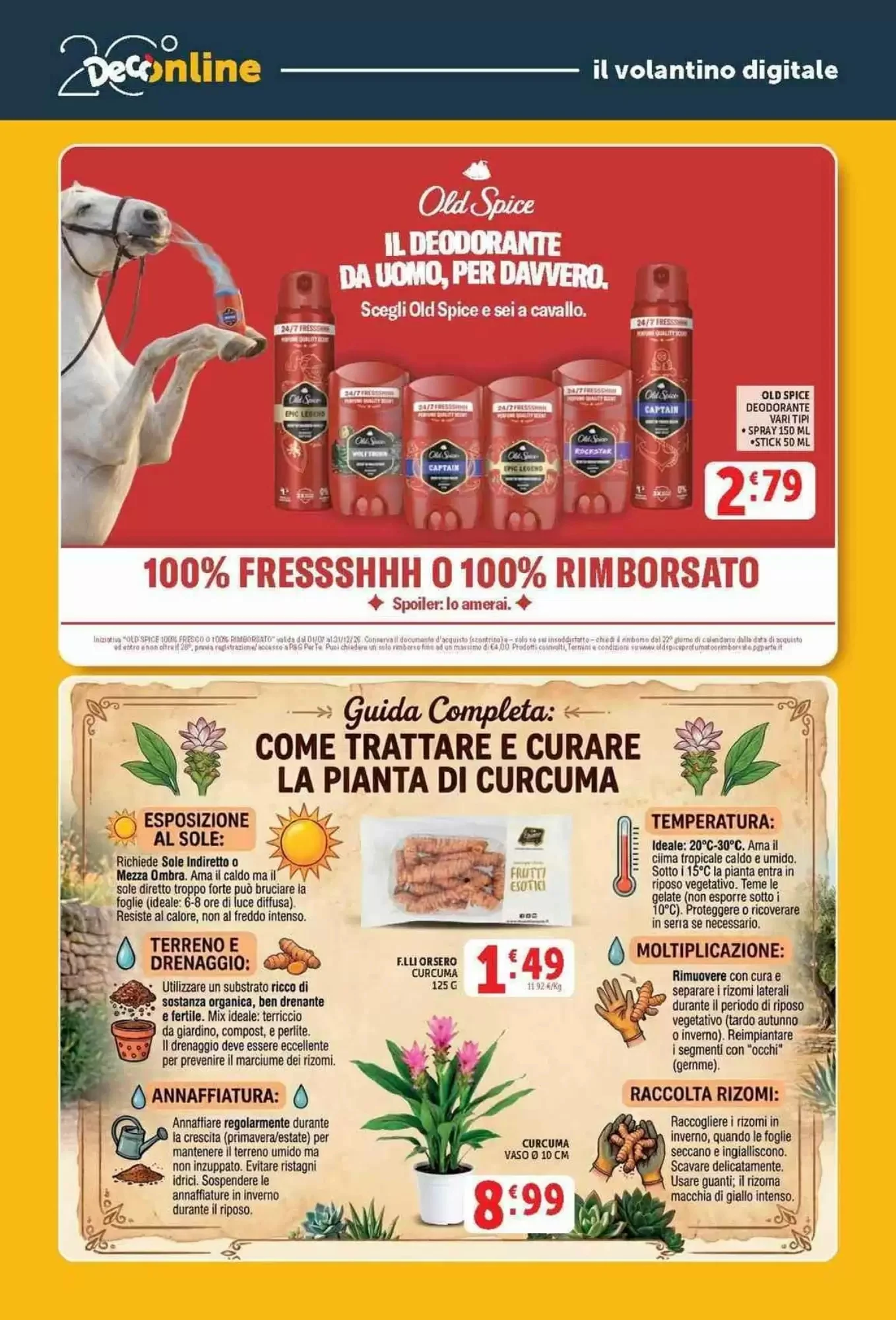 Volantino Decò Supermercati Volantino Decò Supermercati pagina 40
