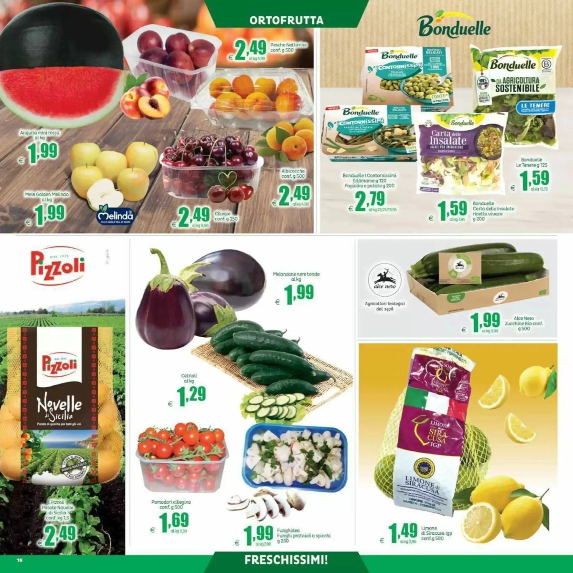Volantino Elite Volantino Elite pagina 16