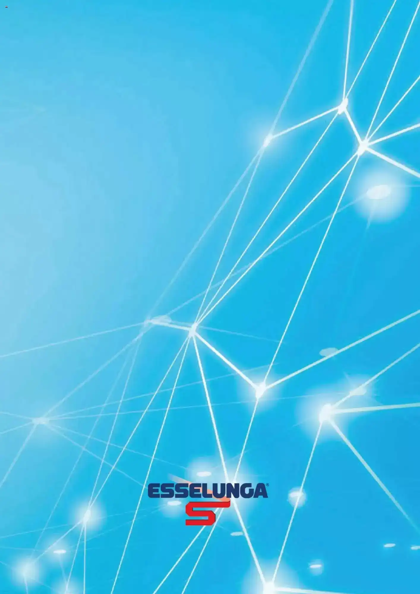 Volantino Esselunga Volantino Esselunga pagina 14