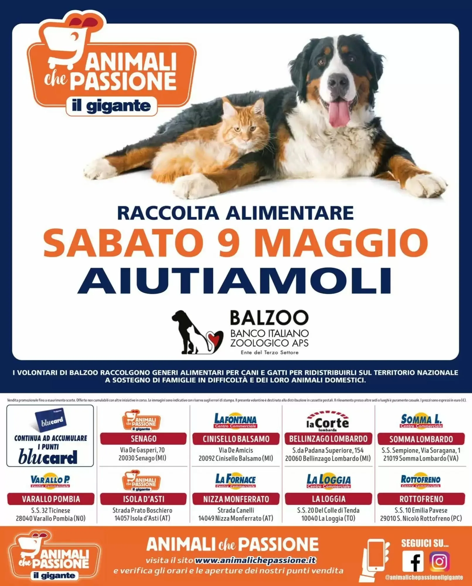 Volantino Il gigante Volantino Il gigante pagina 6