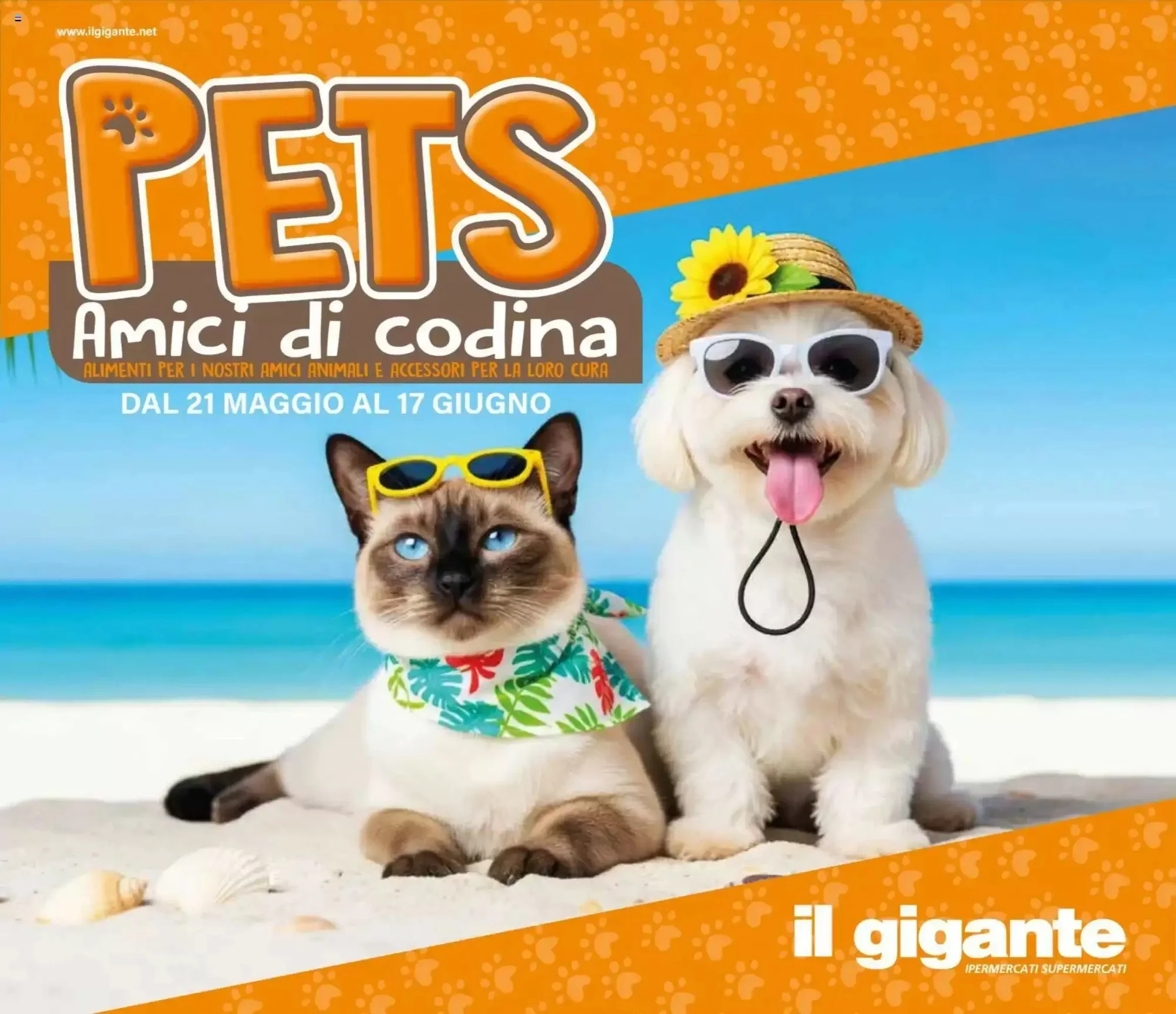 Copertina Il gigante - Volantino Il gigante