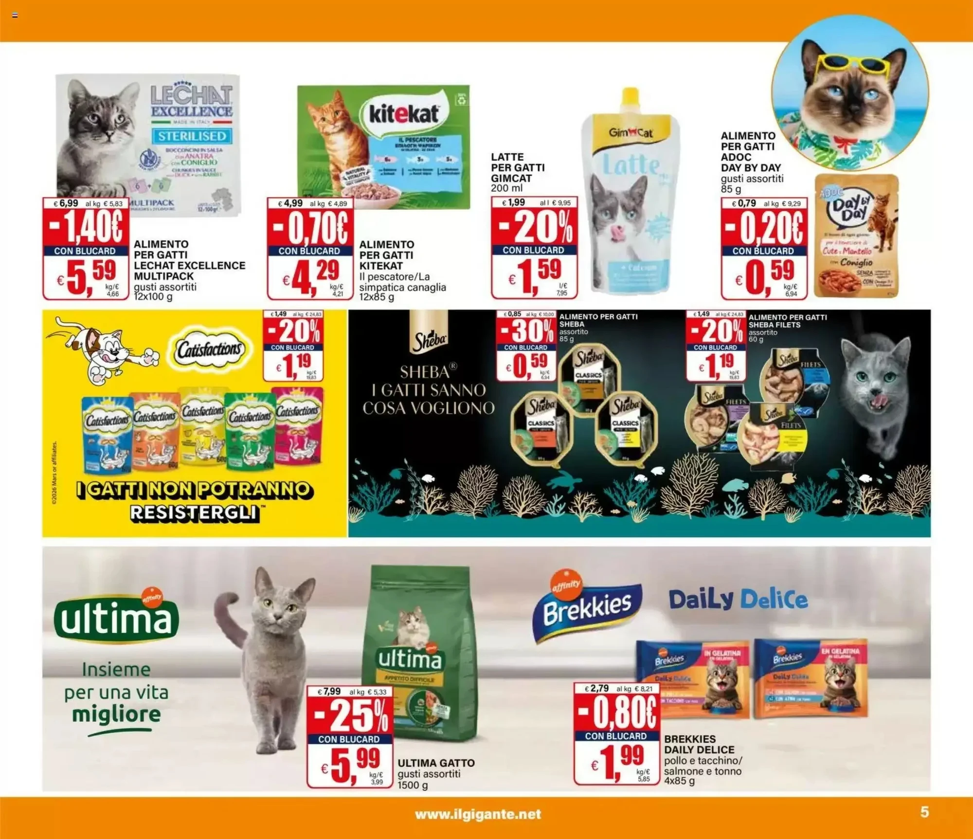 Volantino Il gigante Volantino Il gigante pagina 5