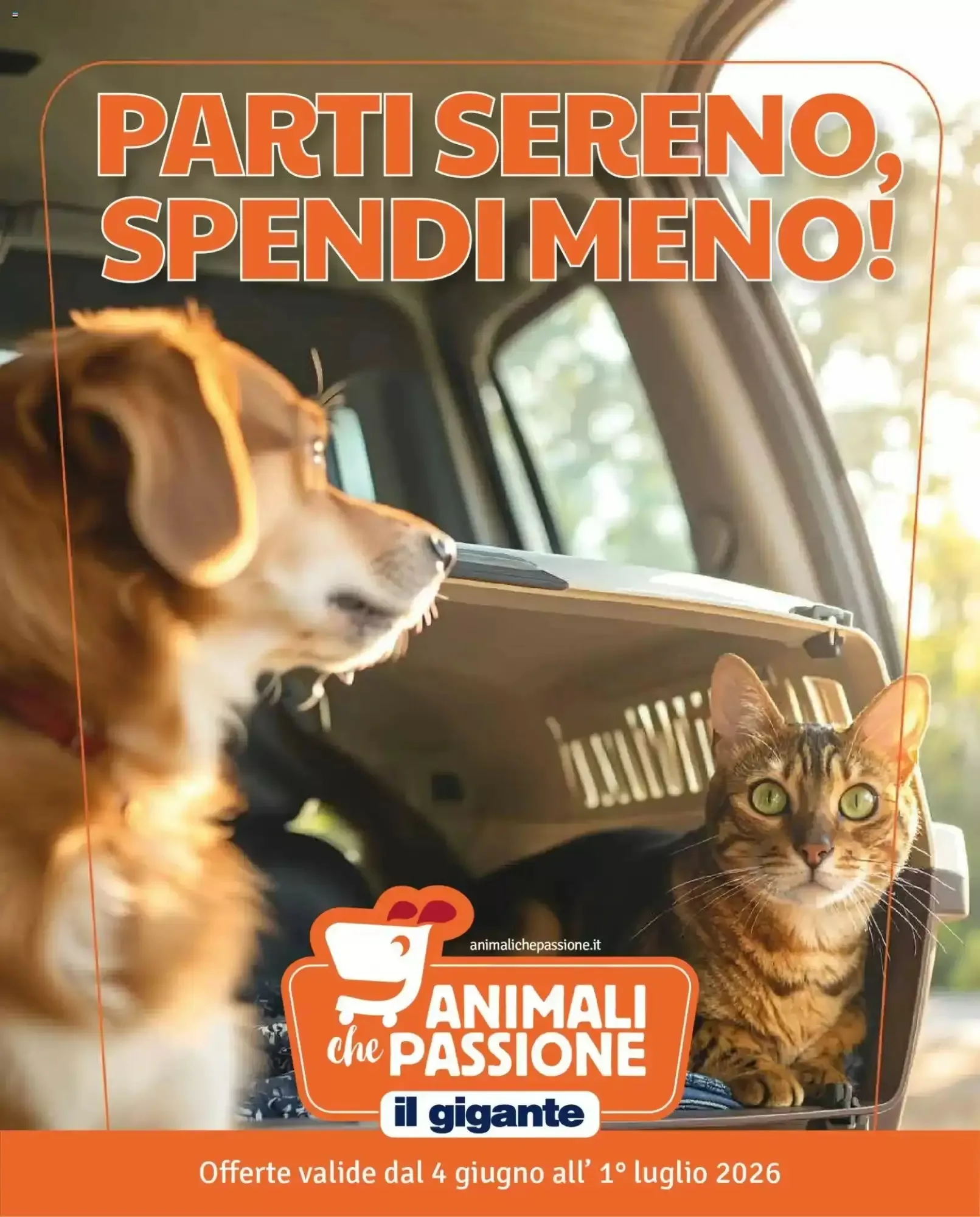 Copertina Il gigante - Volantino Il gigante