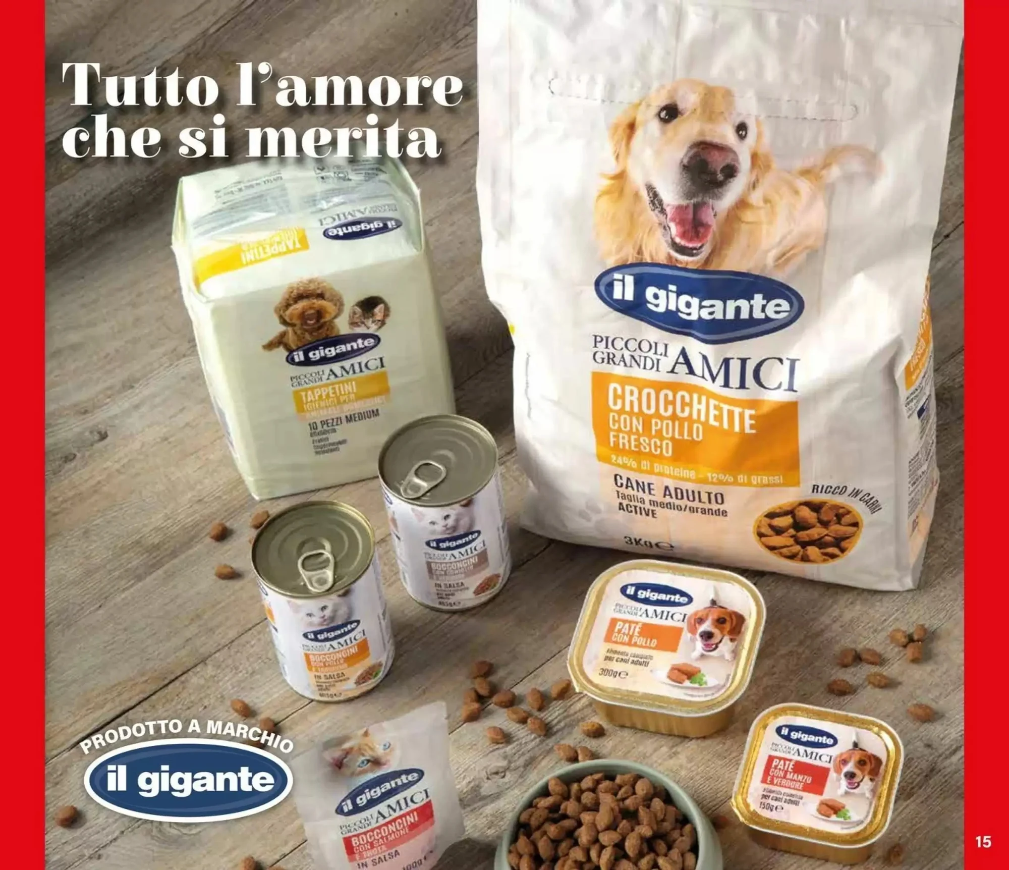 Volantino Il gigante Volantino Il gigante pagina 15