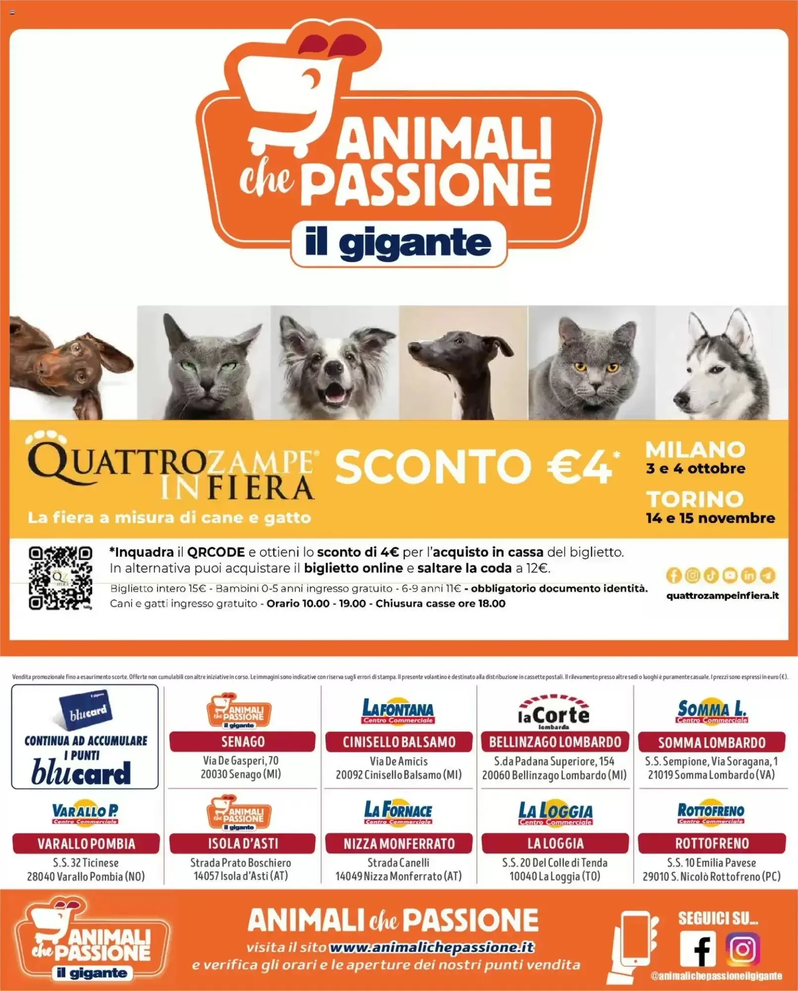 Volantino Il gigante Volantino Il gigante pagina 8