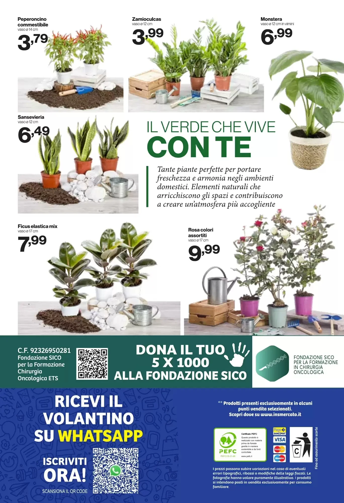 Volantino In S Mercato Volantino In S Mercato pagina 24