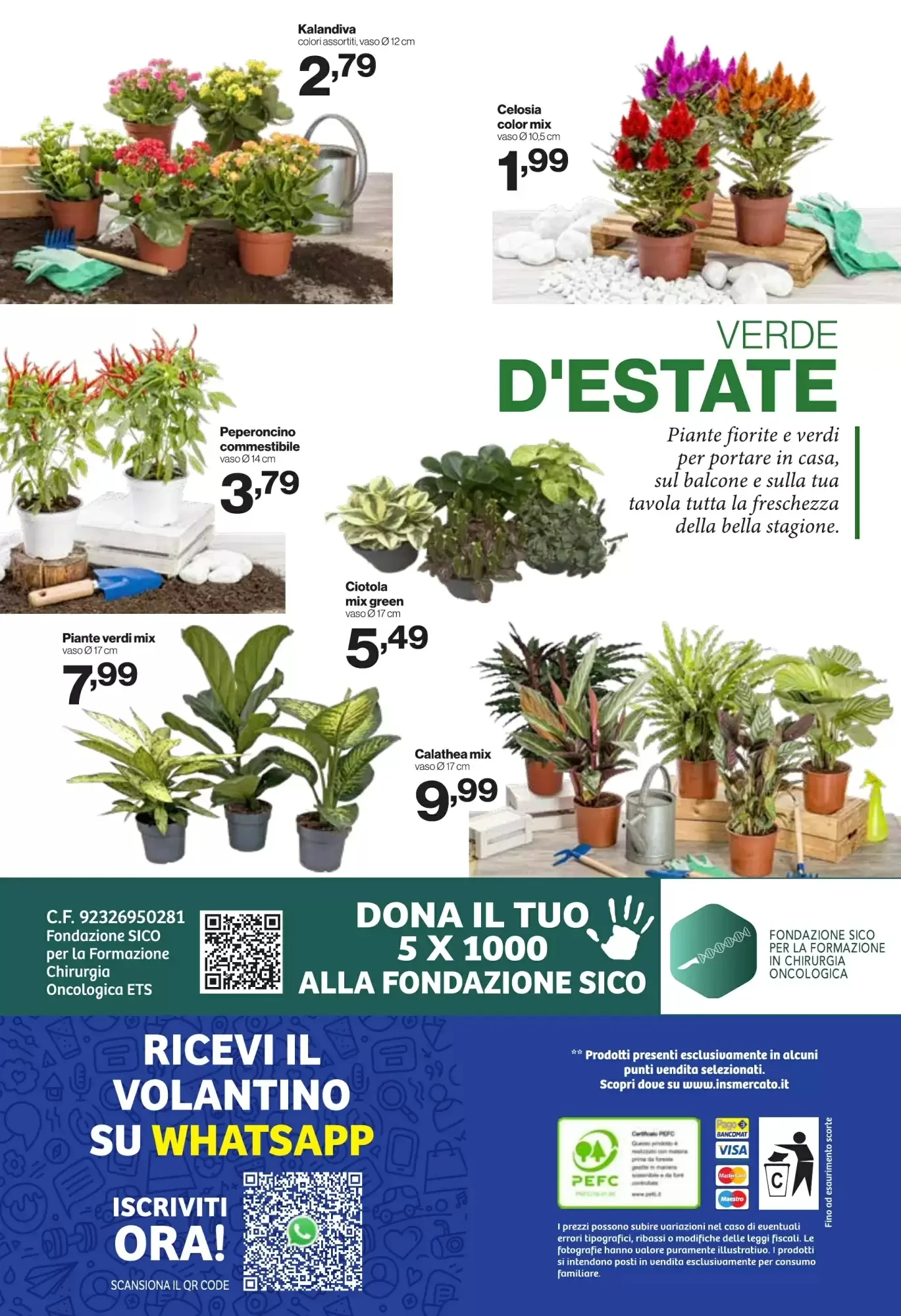Volantino In S Mercato Volantino In S Mercato pagina 24