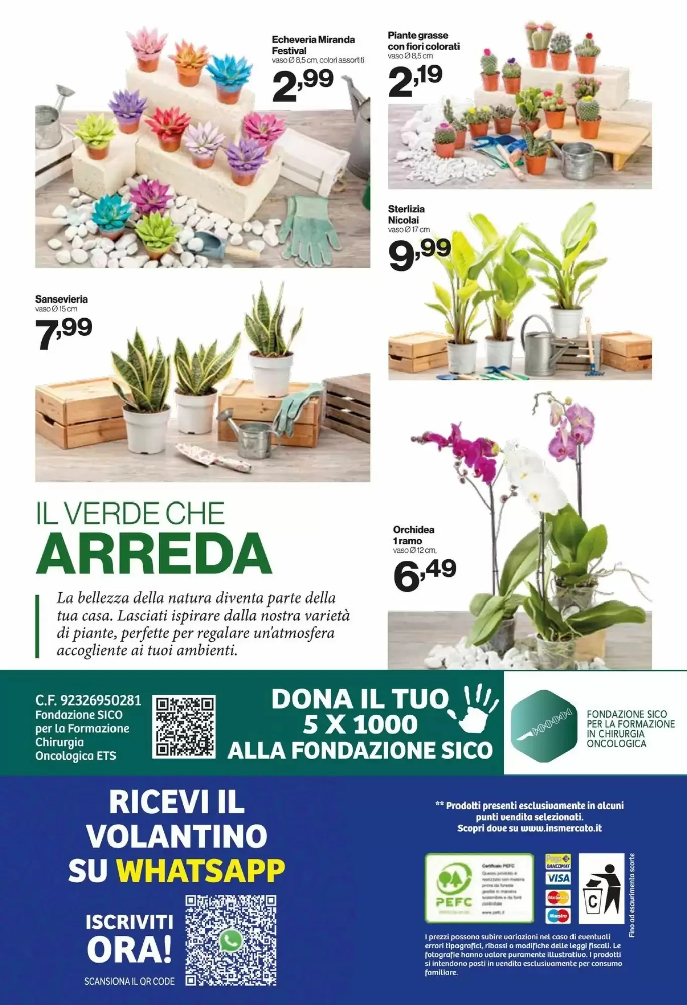 Volantino In S Mercato Volantino In S Mercato pagina 13