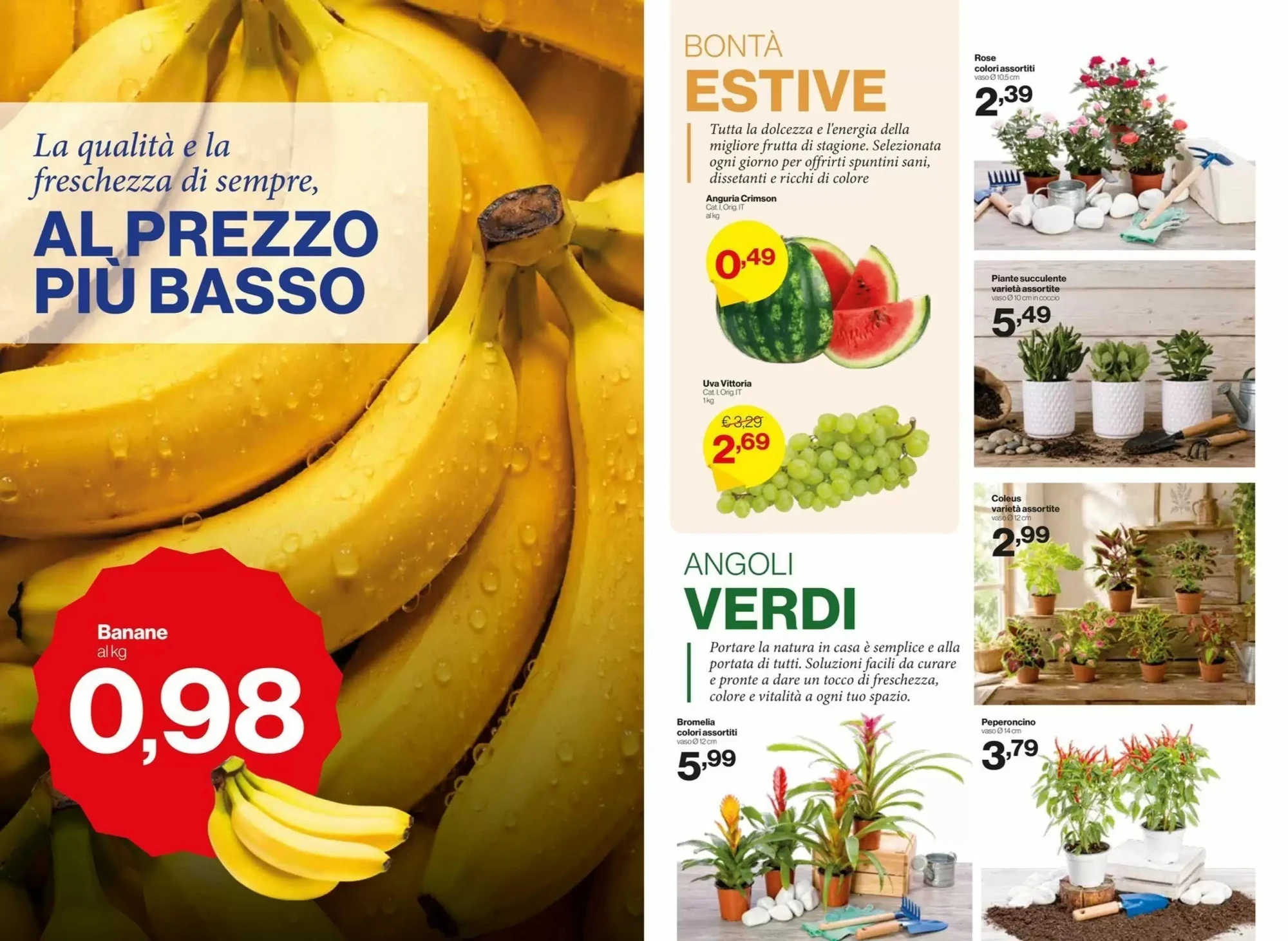 Volantino In S Mercato Volantino In S Mercato pagina 7
