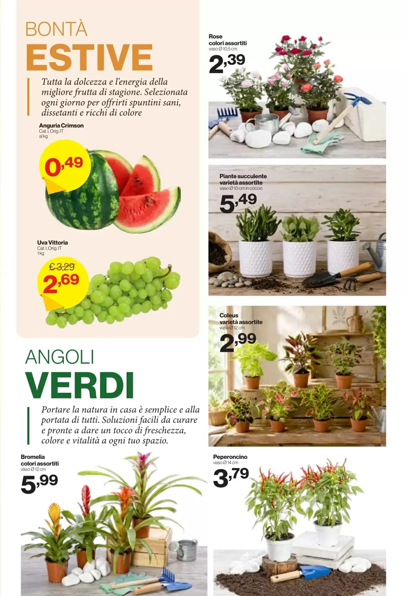 Volantino In S Mercato Volantino In S Mercato pagina 11