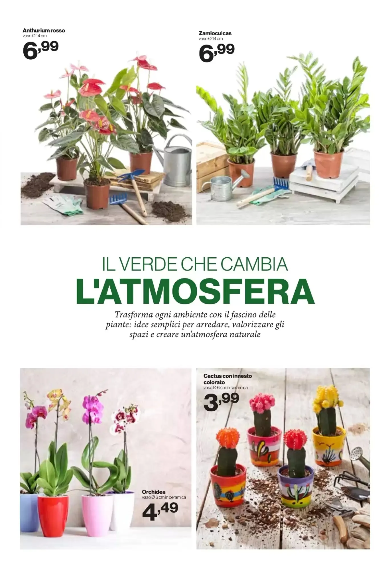 Volantino In S Mercato Volantino In S Mercato pagina 23