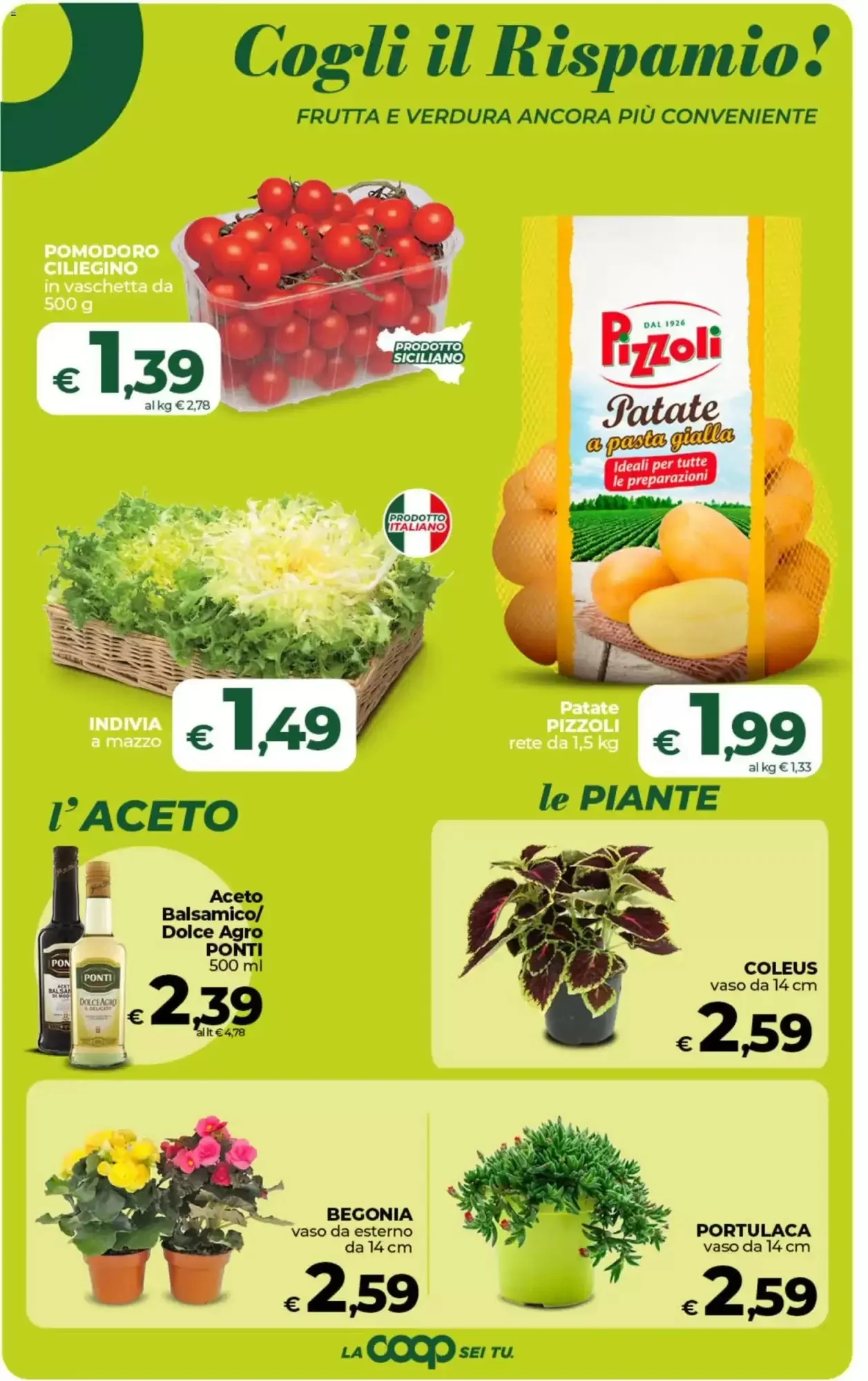 Volantino Ipercoop Radenza Volantino Ipercoop Radenza pagina 28