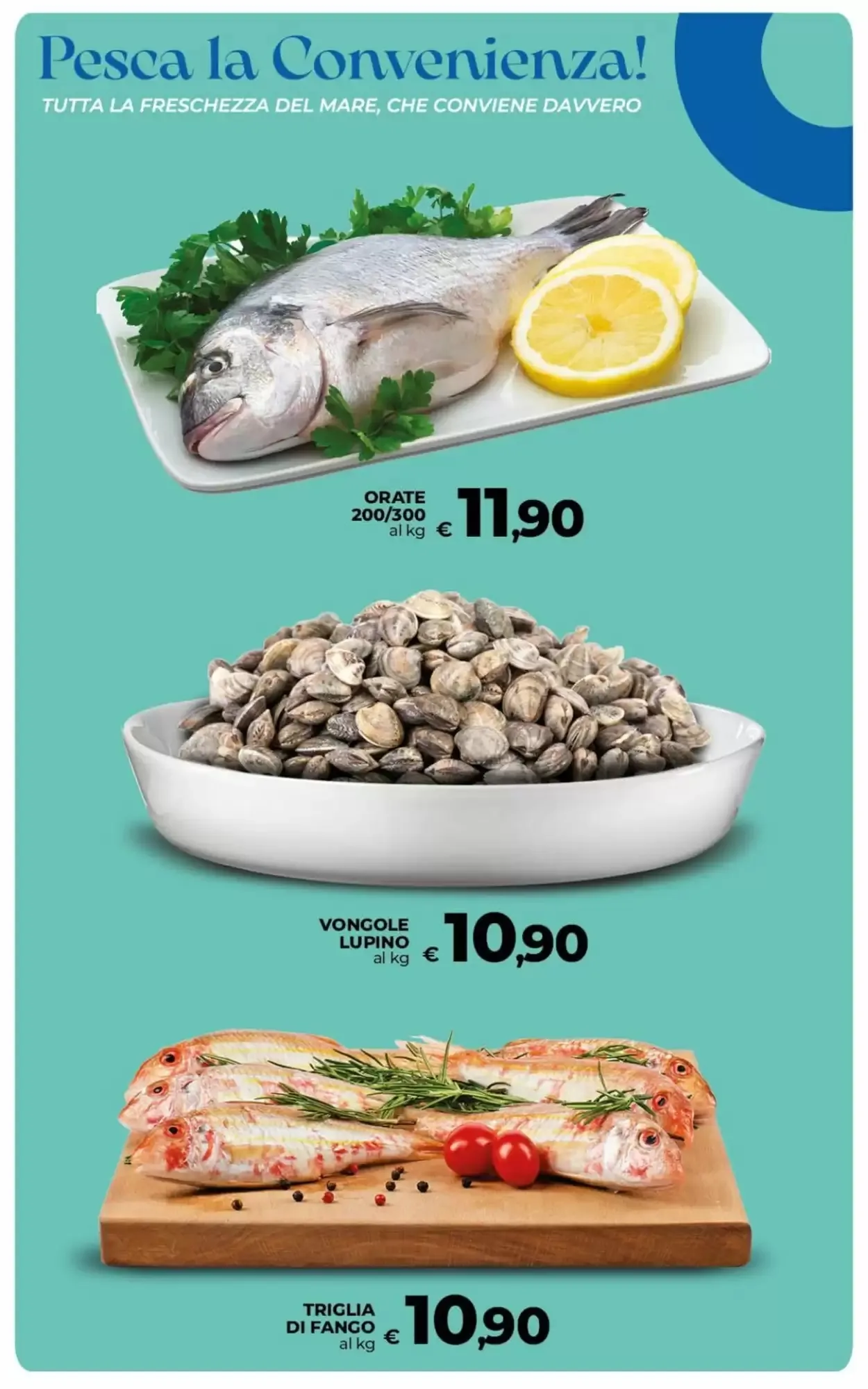 Volantino Ipercoop Radenza Volantino Ipercoop Radenza pagina 23