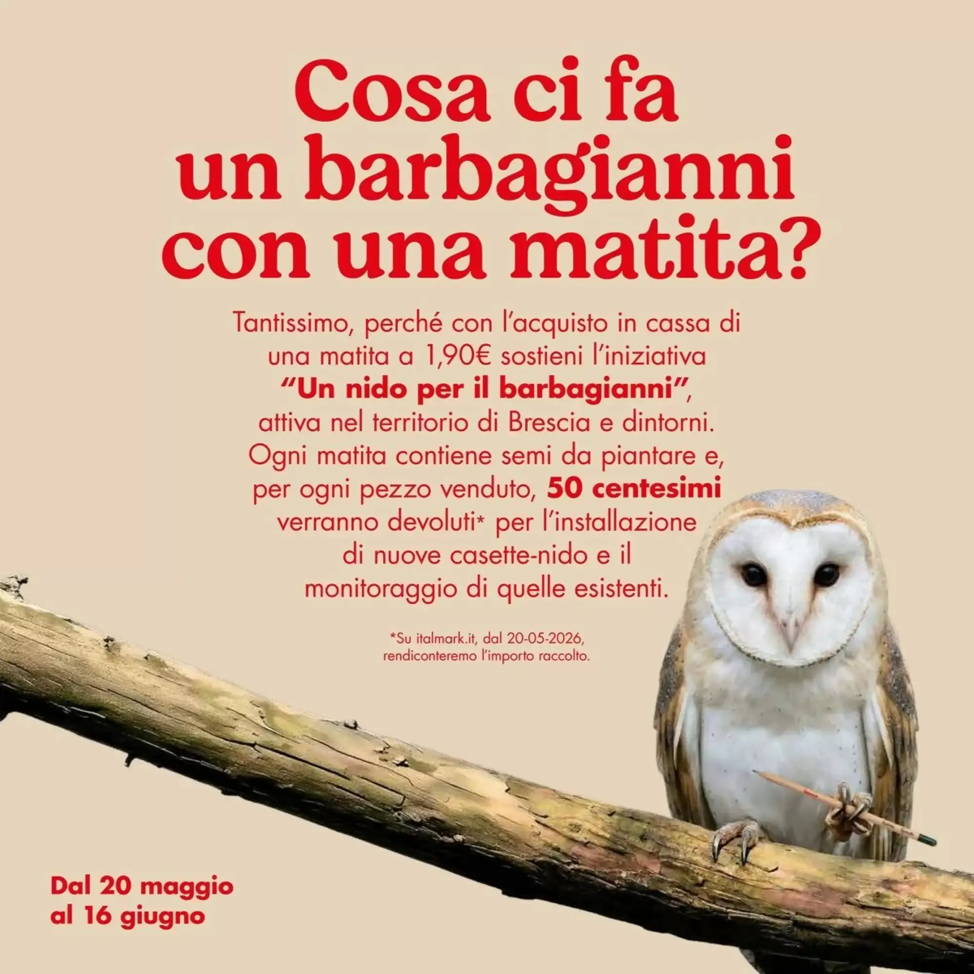 Volantino Italmark Volantino Italmark pagina 24