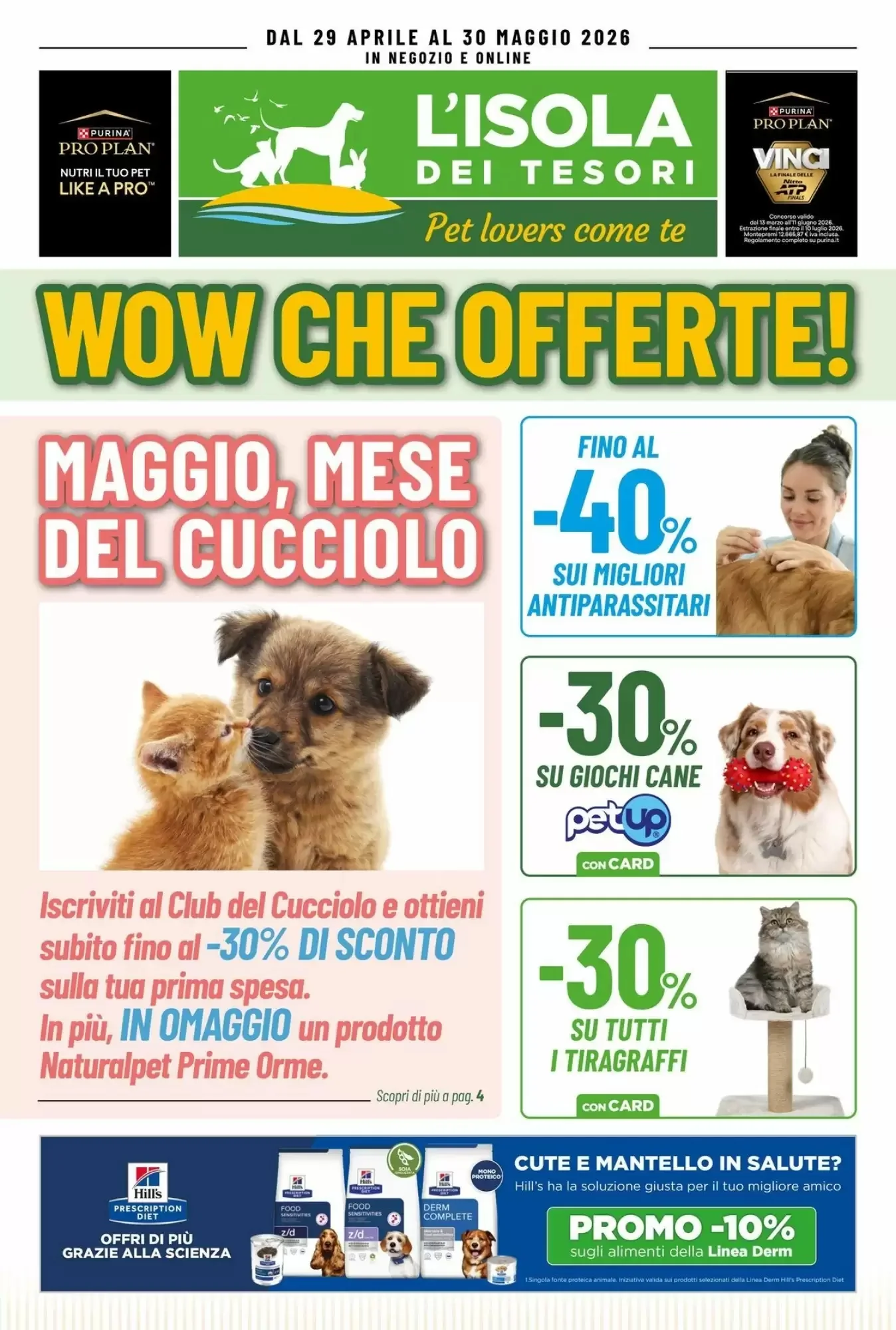 Copertina L'Isola dei Tesori - Volantino L'Isola dei Tesori