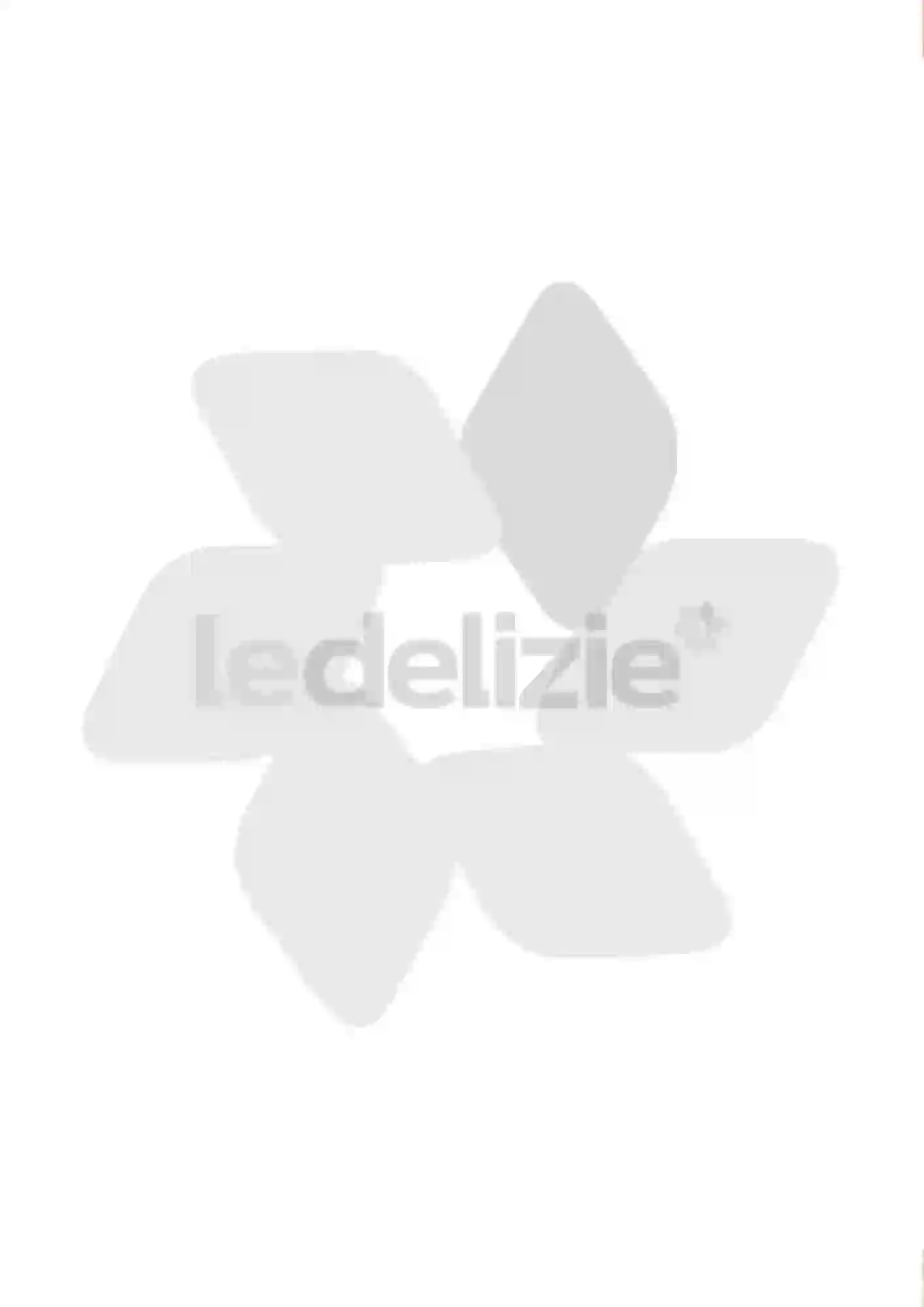 Volantino Le Delizie Del Sud Volantino Le Delizie Del Sud pagina 2