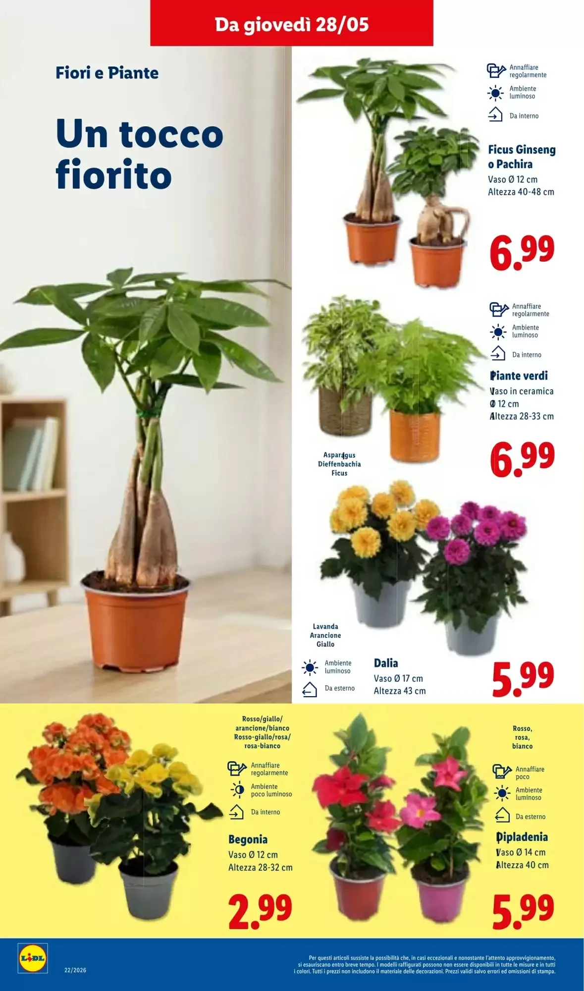 Volantino Lidl Volantino Lidl pagina 34
