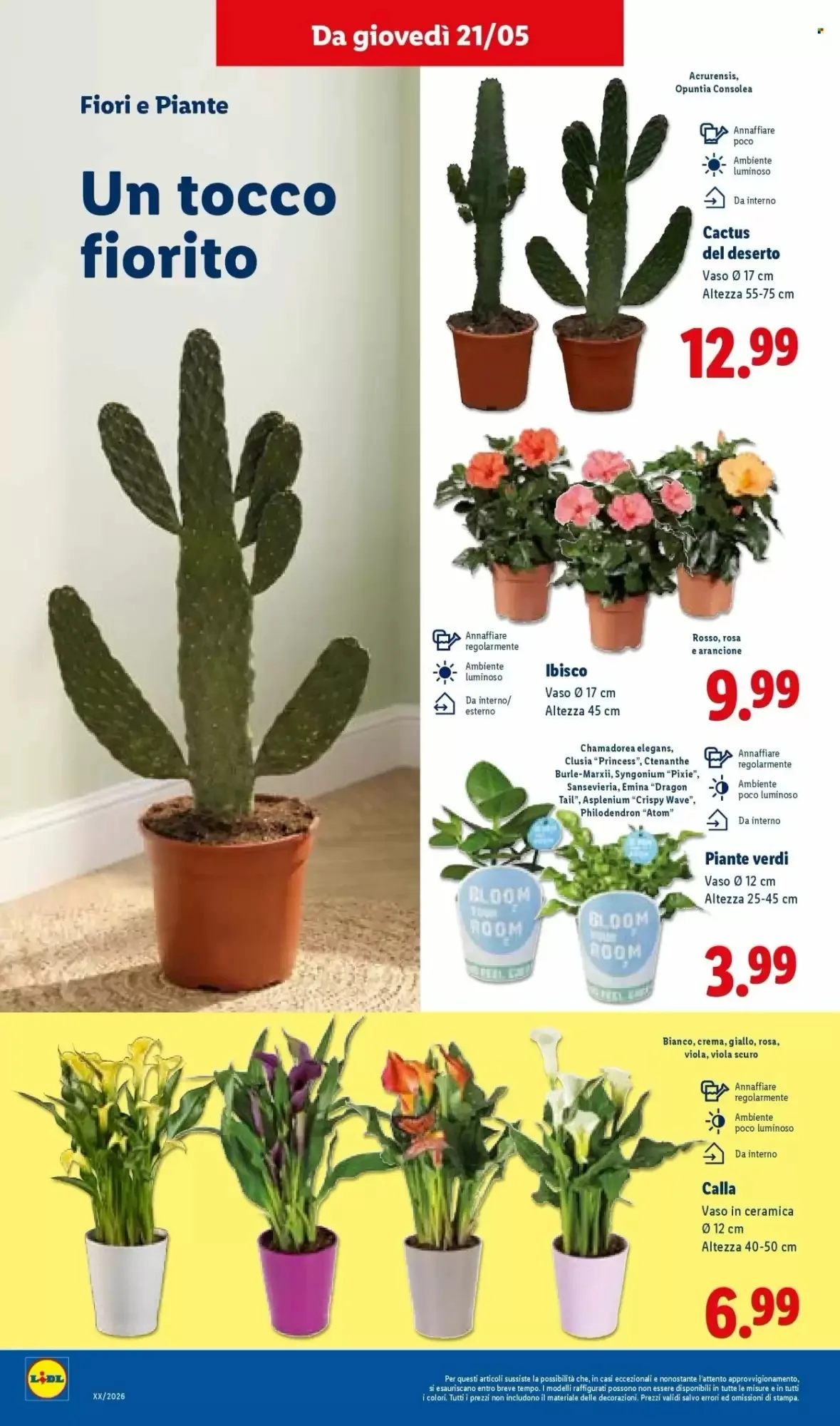 Volantino Lidl Volantino Lidl pagina 36