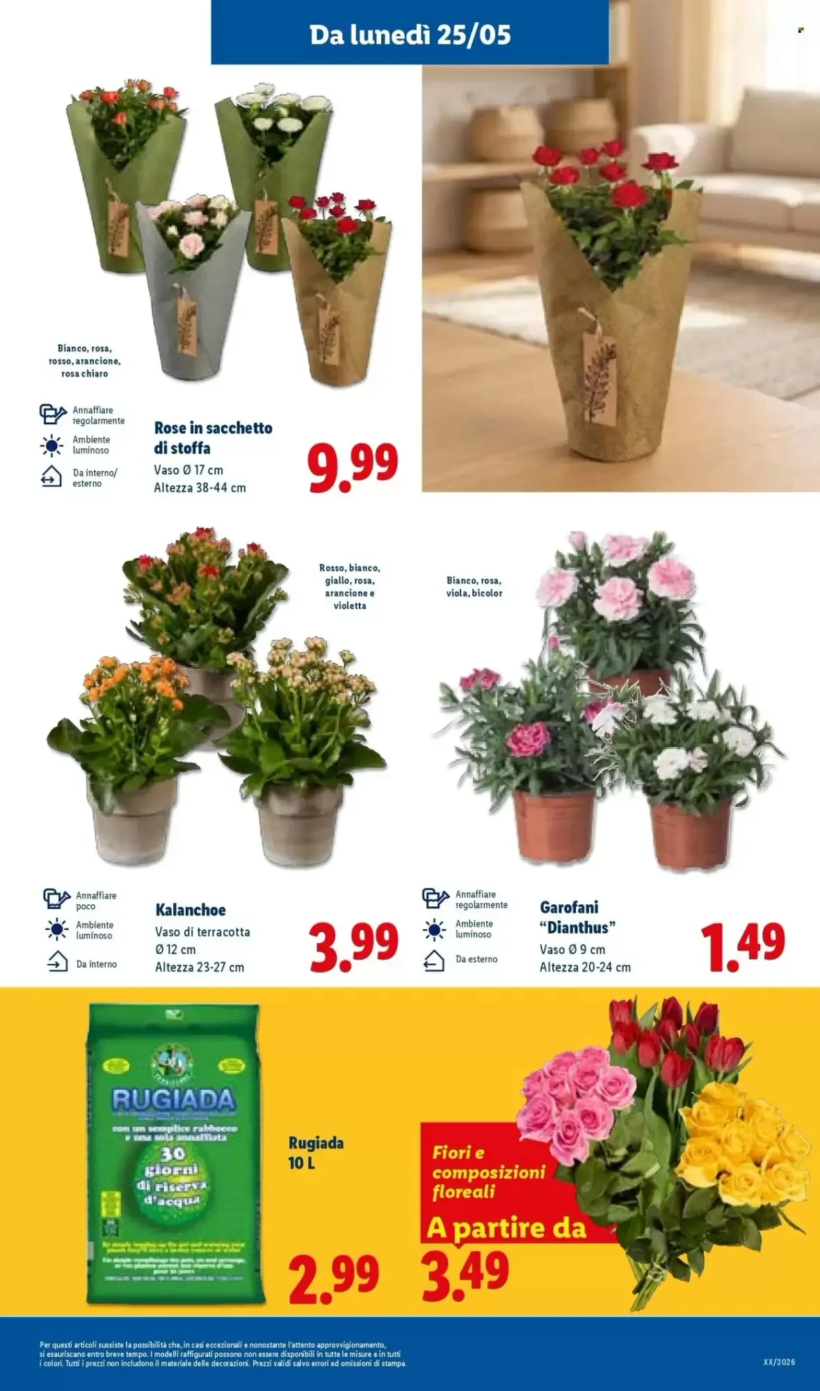 Volantino Lidl Volantino Lidl pagina 37