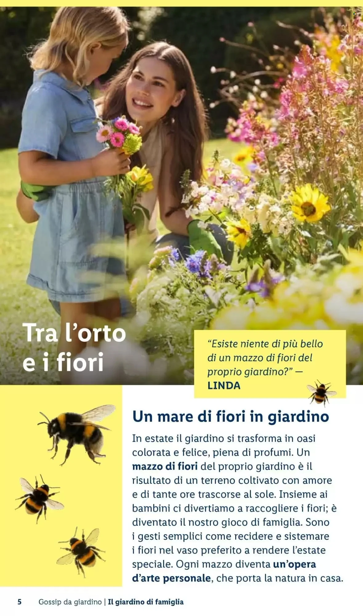 Volantino Lidl Volantino Lidl pagina 5