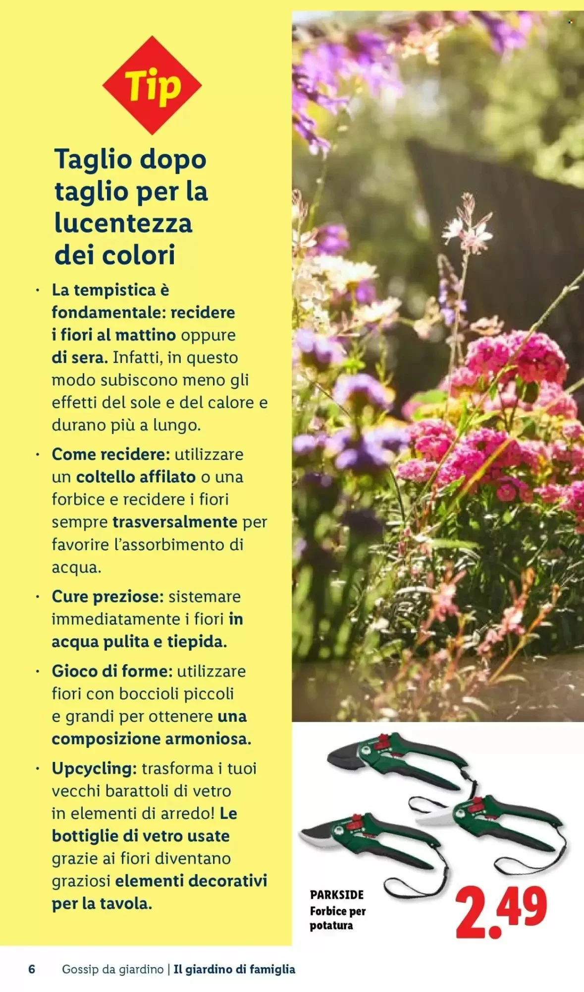 Volantino Lidl Volantino Lidl pagina 6