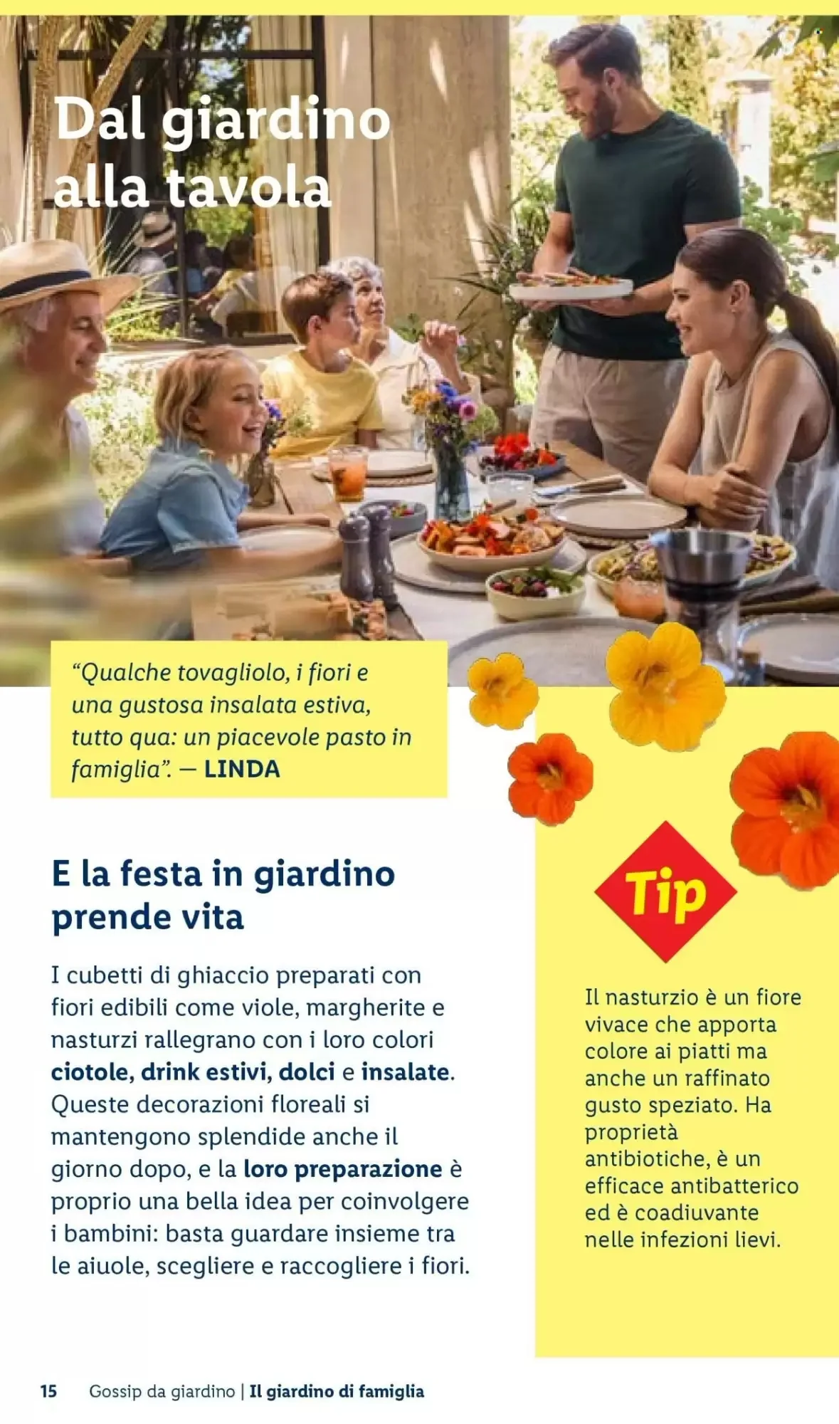 Volantino Lidl Volantino Lidl pagina 15