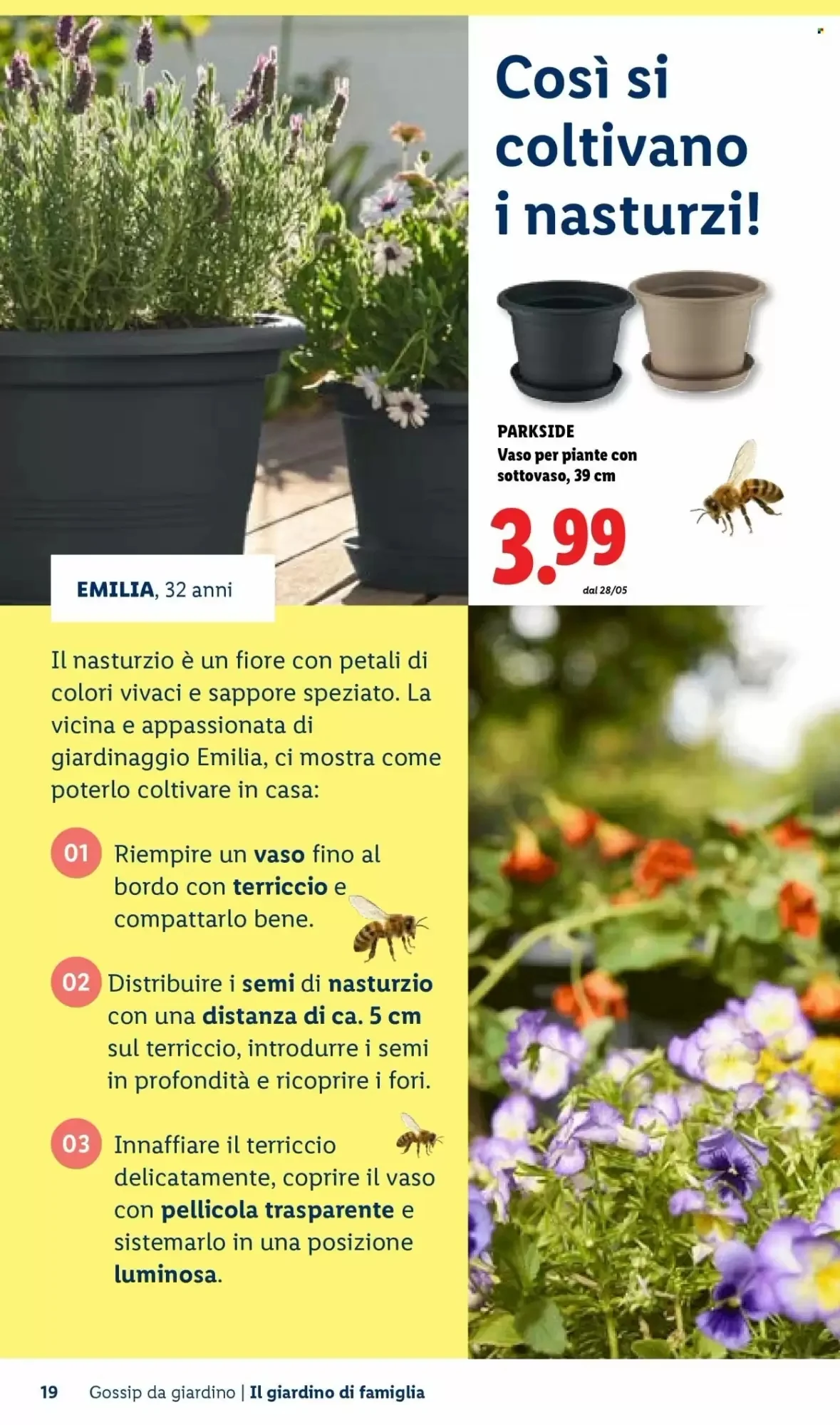 Volantino Lidl Volantino Lidl pagina 19